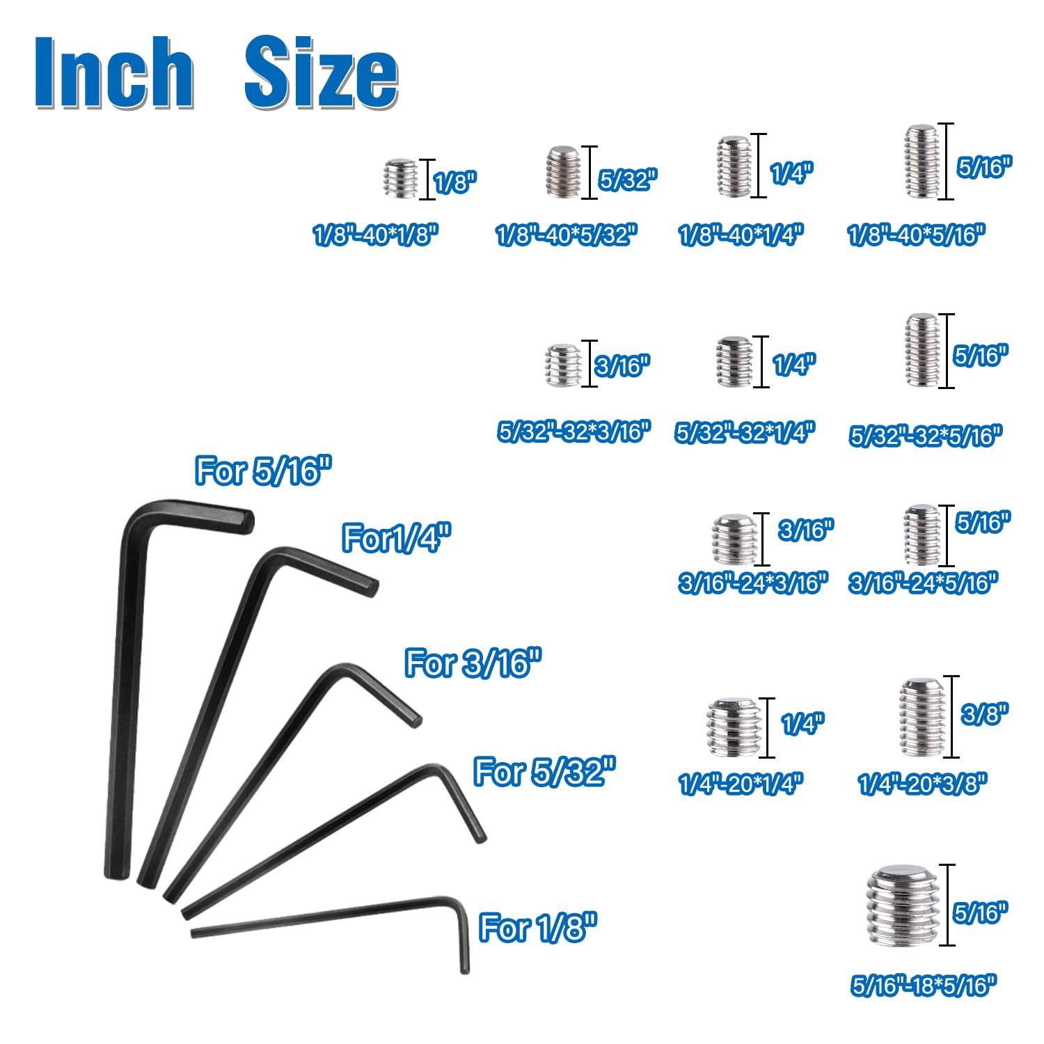 EilxMag 830pcs Metric + Standard SAE Allen Head Socket Hex Grub Screw Set 304 Stainless Steel Internal Hex Drive Cup-Point Screws Assortment Kit (M3-M8, 1/8"-40 to 5/16"-18)