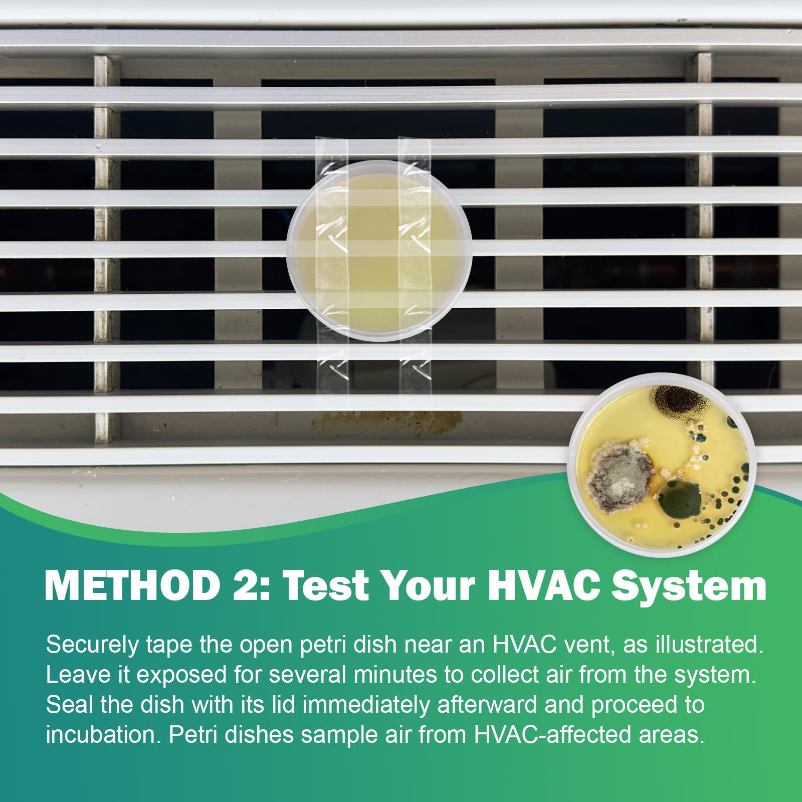 Carethetic Mold Test Kit for Home - 6 DIY Tests Included for Air, Surface & HVAC, Lab Analysis & Expert Consultation