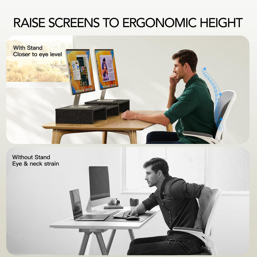AMERIERGO Dual Monitor Stand -Adjustable Length and Angle, Dual Monitor Riser, Computer Monitor Stand w/2 Slot, Desktop Organizer, Monitor Stand Riser for PC, Computer, Laptop (Black)