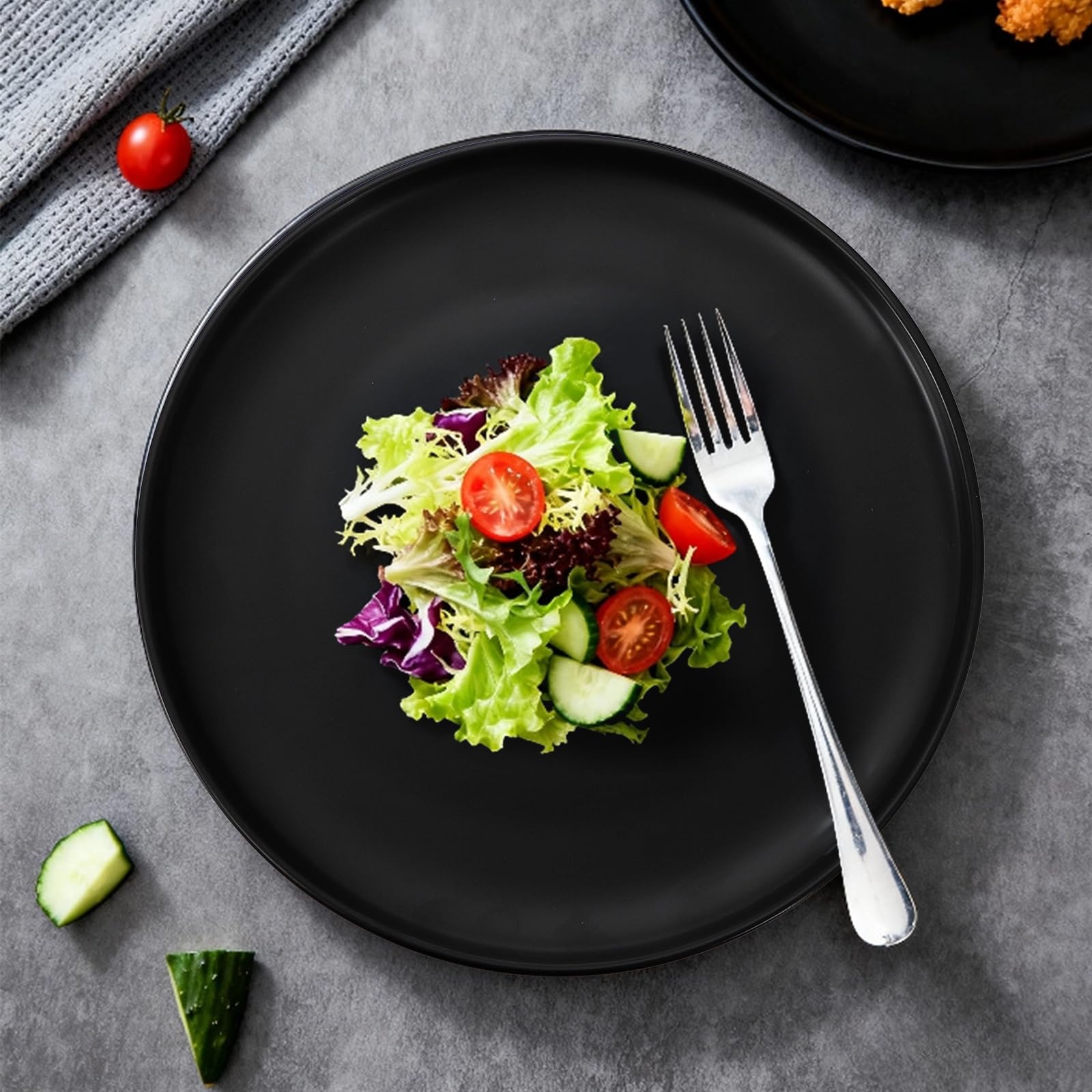 ZENFUN Set of 4 Porcelain Dinner Plates, 10 Inch Matte Ceramic Dish Steak Plates, Elegant Large Round Serving Plates for Salad, Pasta, Pizza, Dishwasher & Microwave Safe, Black