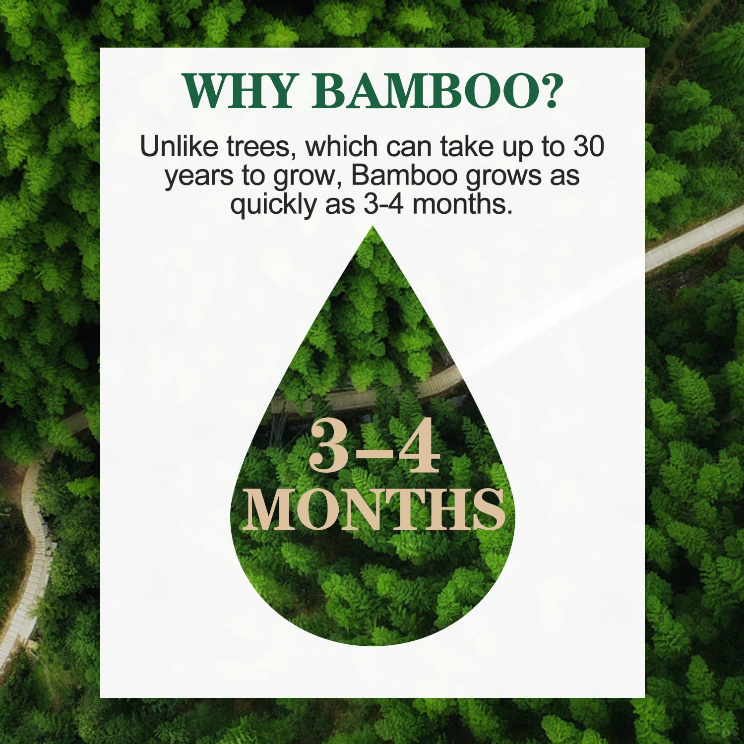QingYa Bamboo Toilet Paper, 4-Ply, 18 Rolls, 200 Sheets Per Roll, Total 3600 Sheets, bleached, Sustainable and Tree Free, Soft, Strong, Earth-Friendly