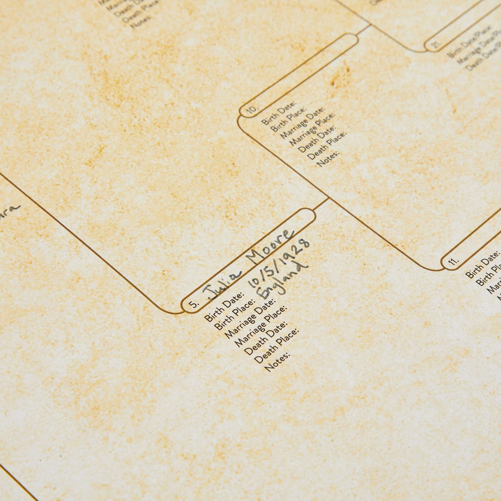 15-Pack Family Tree Charts to Fill In, Blank 8 Generation Genealogy Poster for Family History, Lineage, Reunions, Large Pedigree Chart, 255 Total Name Spaces (17x22 in)