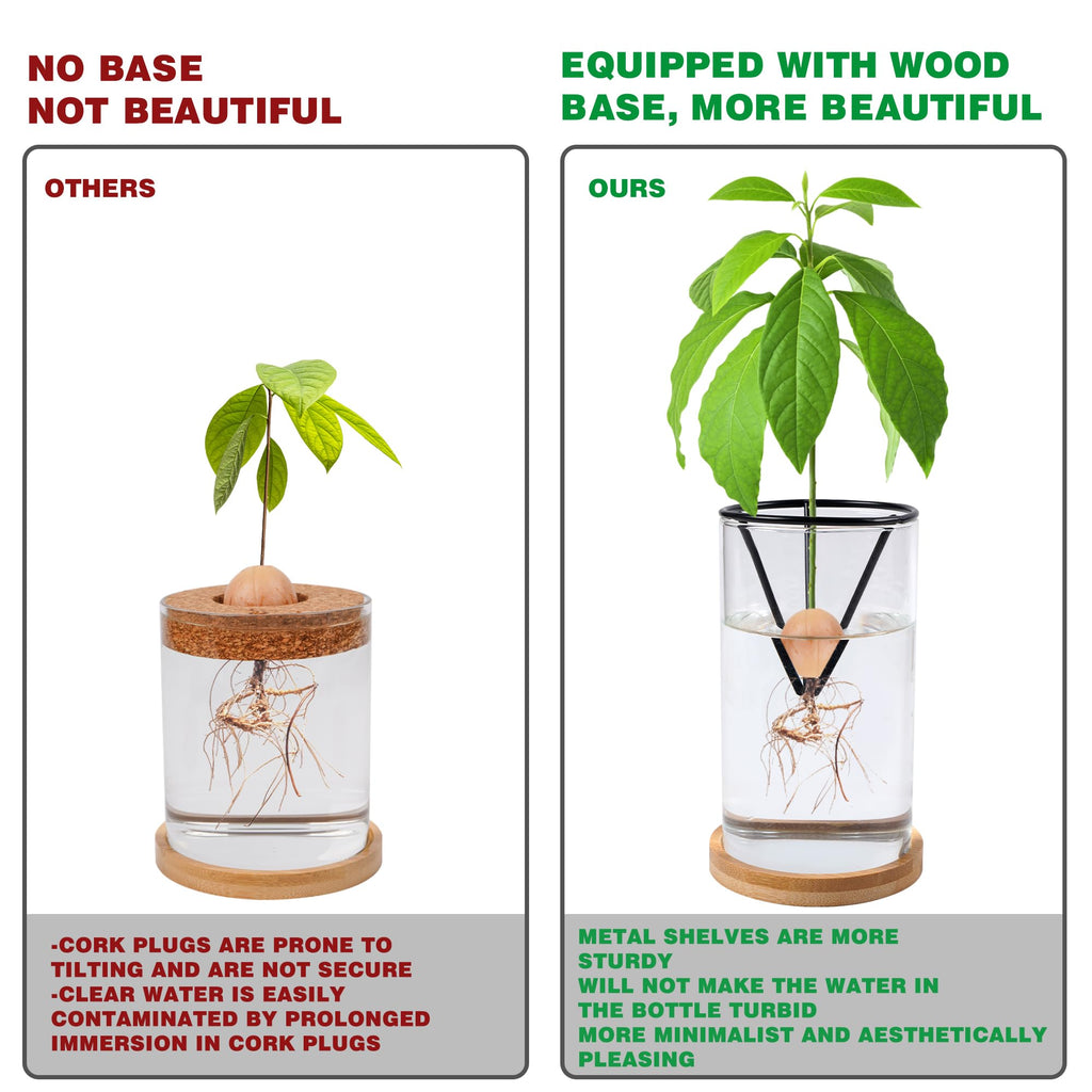Bylion Avocado Tree Growing Kit - Seed Starter Vase With Wooden Base, Glass Plant Pot for Easy Sprout - Gift for Women, Gardening Lovers, Home Office Table Decoration