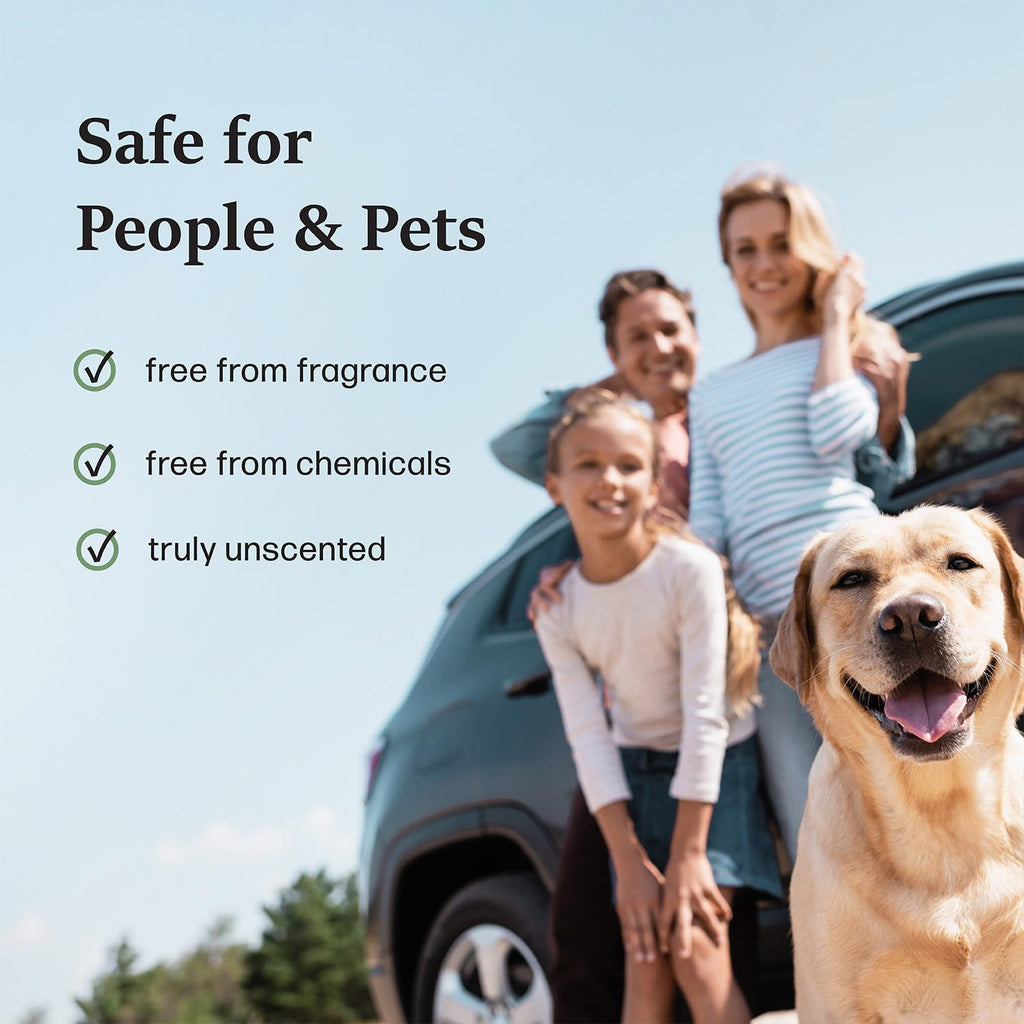 Moso Natural Car Air Freshener and Deodorizer | Long Lasting Bamboo Charcoal Odor Absorber | Non Toxic Odor Eliminator for Cars | Scent Free Air Purifying Bag (2 Pack)