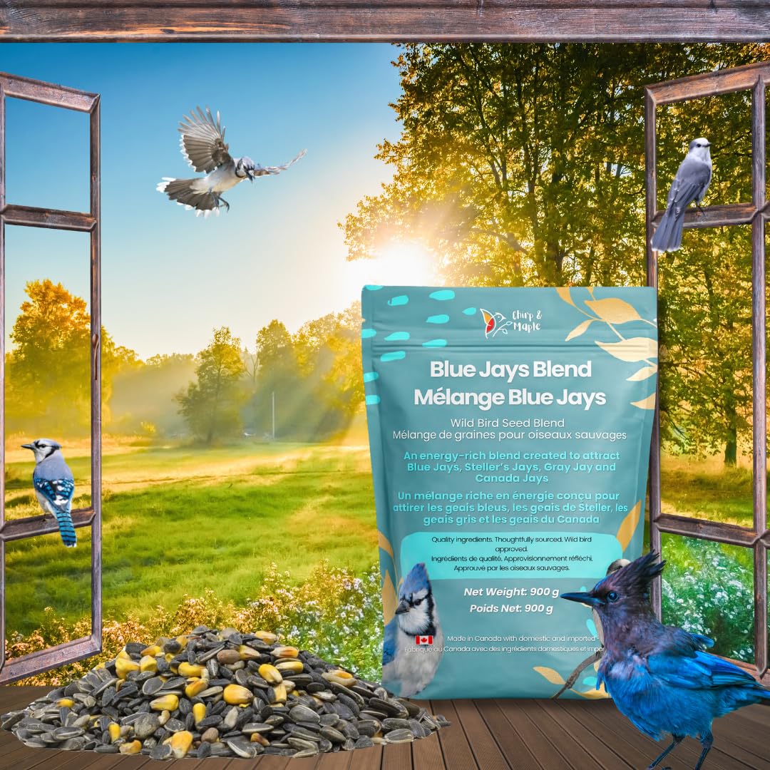 Blue Jay Bird Food – Chirp & Maple Blue Jays Blend, Premium Bird Seed with Peanuts, Corn & Sunflower, Feed for Jays, Steller's Jays & Canada Jays, 900g