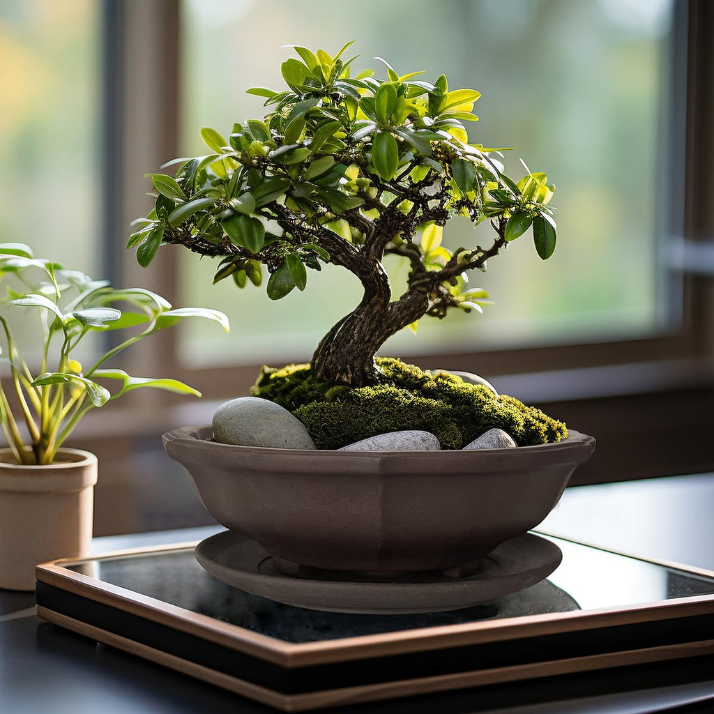 MUZHI 6.8 inch Unglazed Flower Shape Ceramic Bonsai Pot Bowl with Saucer,Classic Retro Zisha Pottery Planter Round for Tree Cactus Succulent Arrangement
