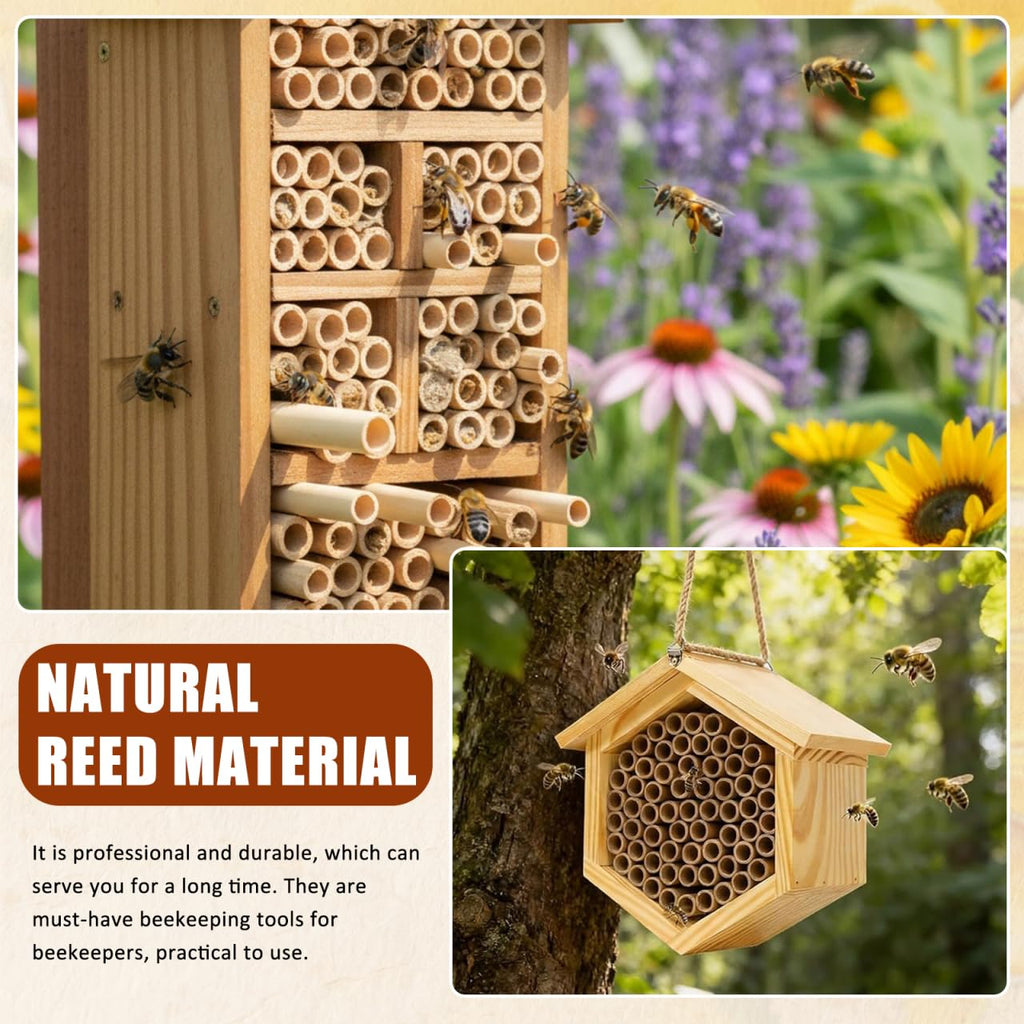 100Pcs Mason Bee Tubes Reed Tubes for Bees 6 Inch Bee Nesting Tubes Beekeeper Replacement Nesting Refill Tubes, Diameter: 0.6-0.8 cm