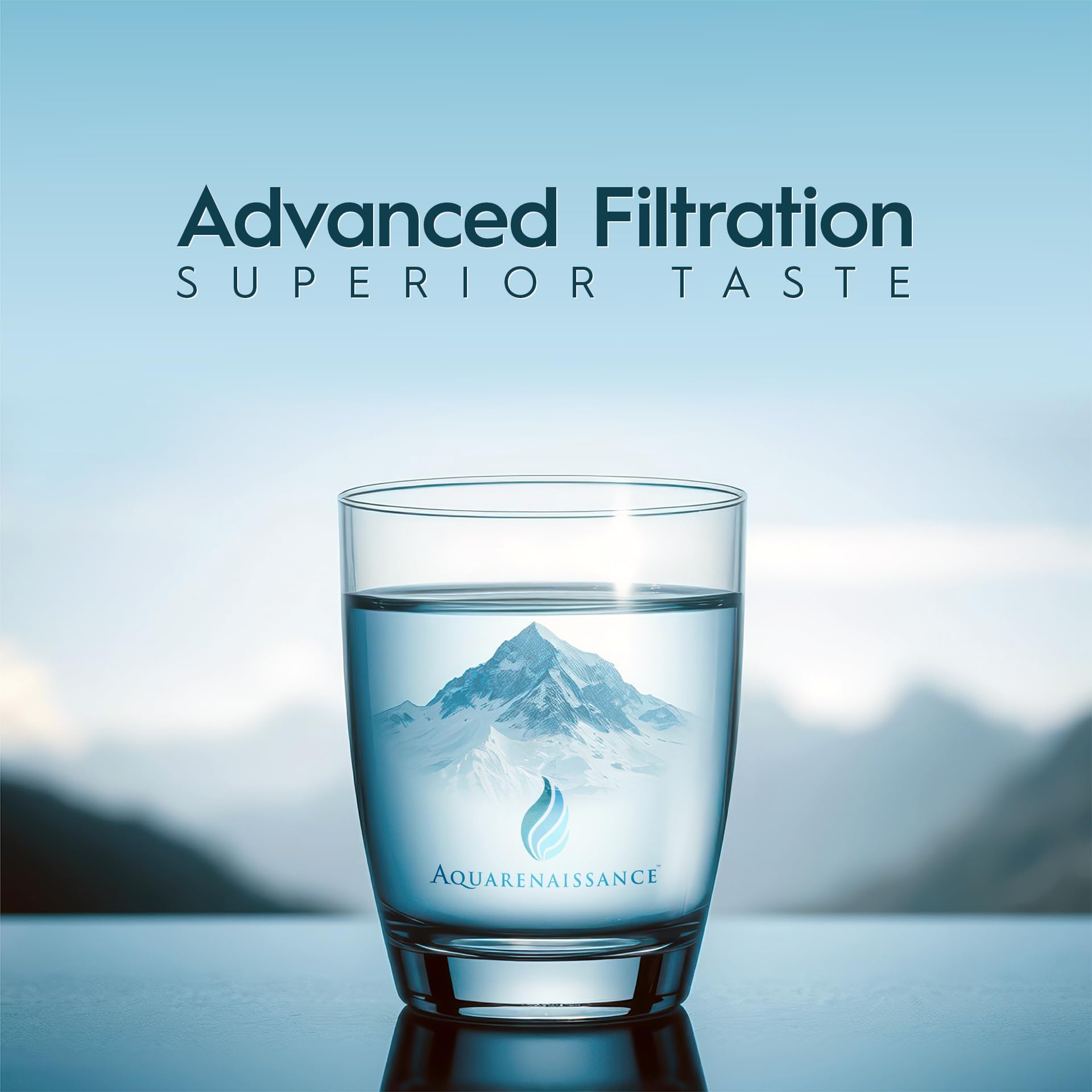 AquaRenaissance Premium 0.5 Micron Carbon Block 2.5 x 10 inch CTO Water Filter Cartridge Replacement, 95% VOC & PFAS Reduction, for Under Sink, and Reverse Osmosis Systems, NSF Certified, 2 Pack