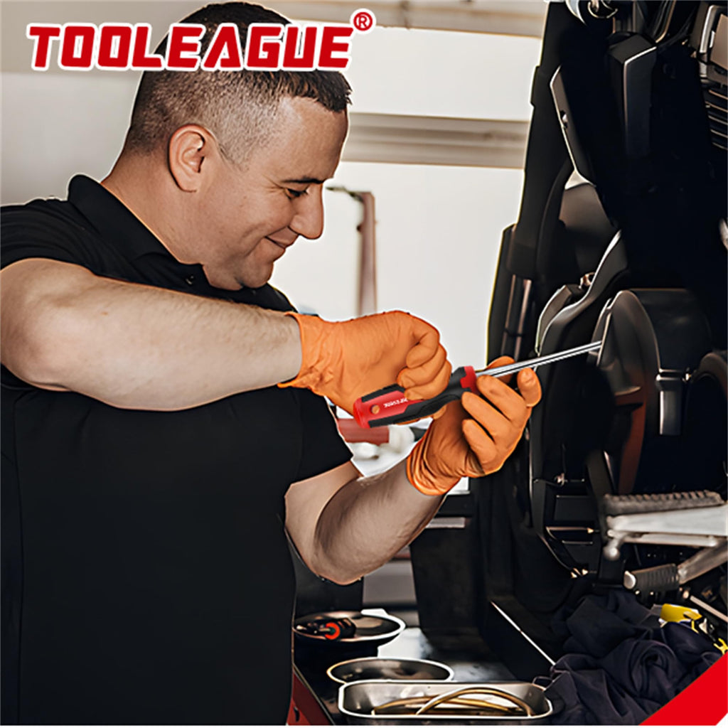 TOOLEAGUE 10Pcs Pick and Hook Set with Scraper and Magnetic Telescoping Tool Kit