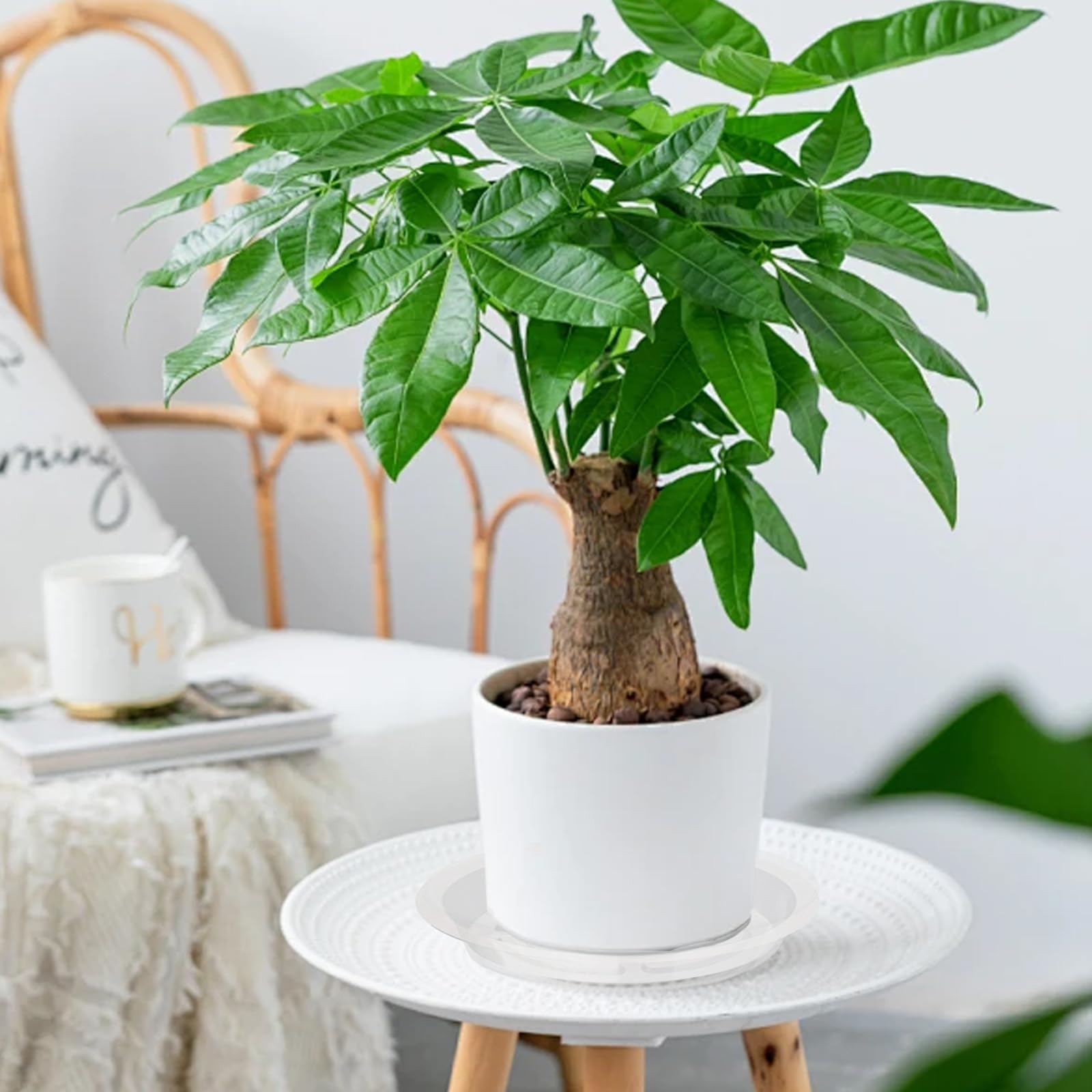 Hyuetrsa 5 Inch Plant Saucer, 50 pcs Clear Plastic Plant Trays, Plant Pot Saucers with No Holes, Round Planter Drip Tray for Indoors and Outdor Garden