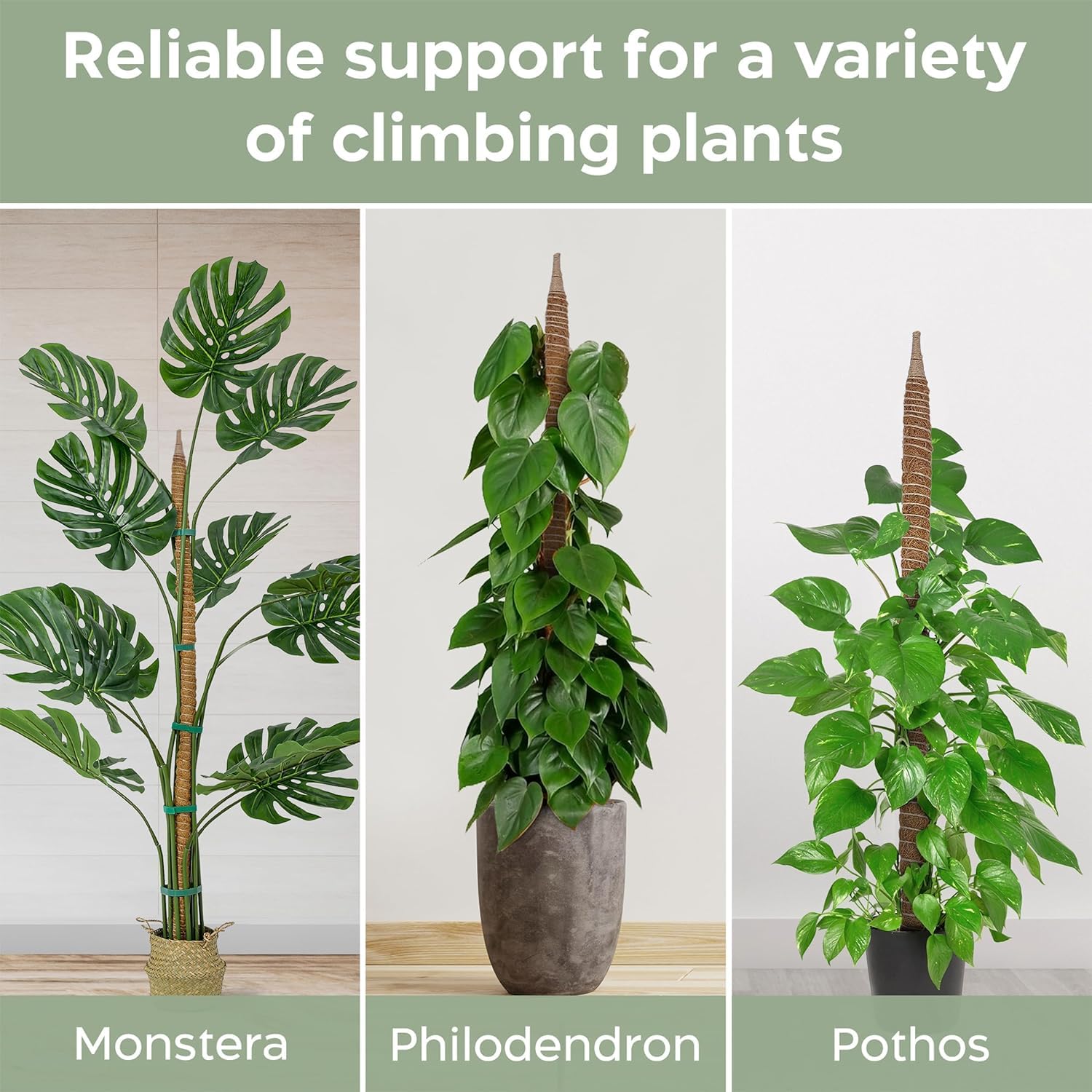 K-Brands 2 Pack 48 Inches Bendable Moss Pole Monstera Plant Support for Climbing Indoor Plants - Stakes for Potted Climbers - Tall Sticks Indoor Trellis for Houseplants - Accessories for Monstera Pot