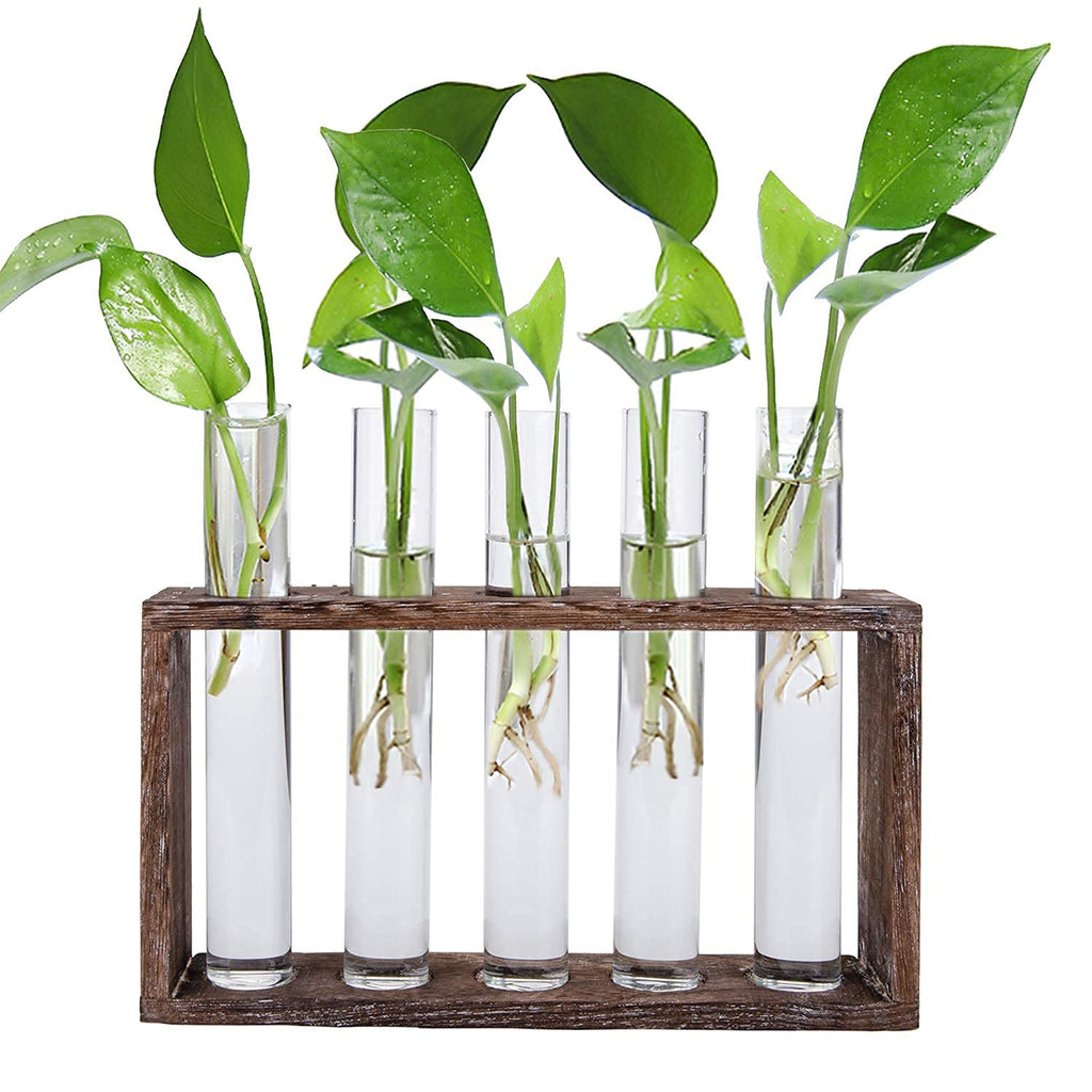 Jucoan Glass Planter Propagation Station, Wall Hanging Plant Terrarium with Wooden Stand, Glass Test Tube Flowers Bud Vase for Hydroponic Plants, Home Office Decor (5 Test Tubes &1 Brush)
