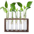 Jucoan Glass Planter Propagation Station, Wall Hanging Plant Terrarium with Wooden Stand, Glass Test Tube Flowers Bud Vase for Hydroponic Plants, Home Office Decor (5 Test Tubes &1 Brush)