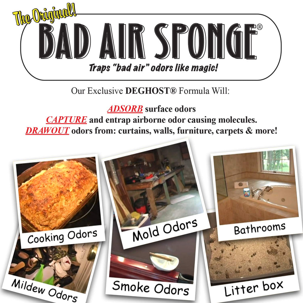Bad Air Sponge Odor Neutralizer, 1-Pound