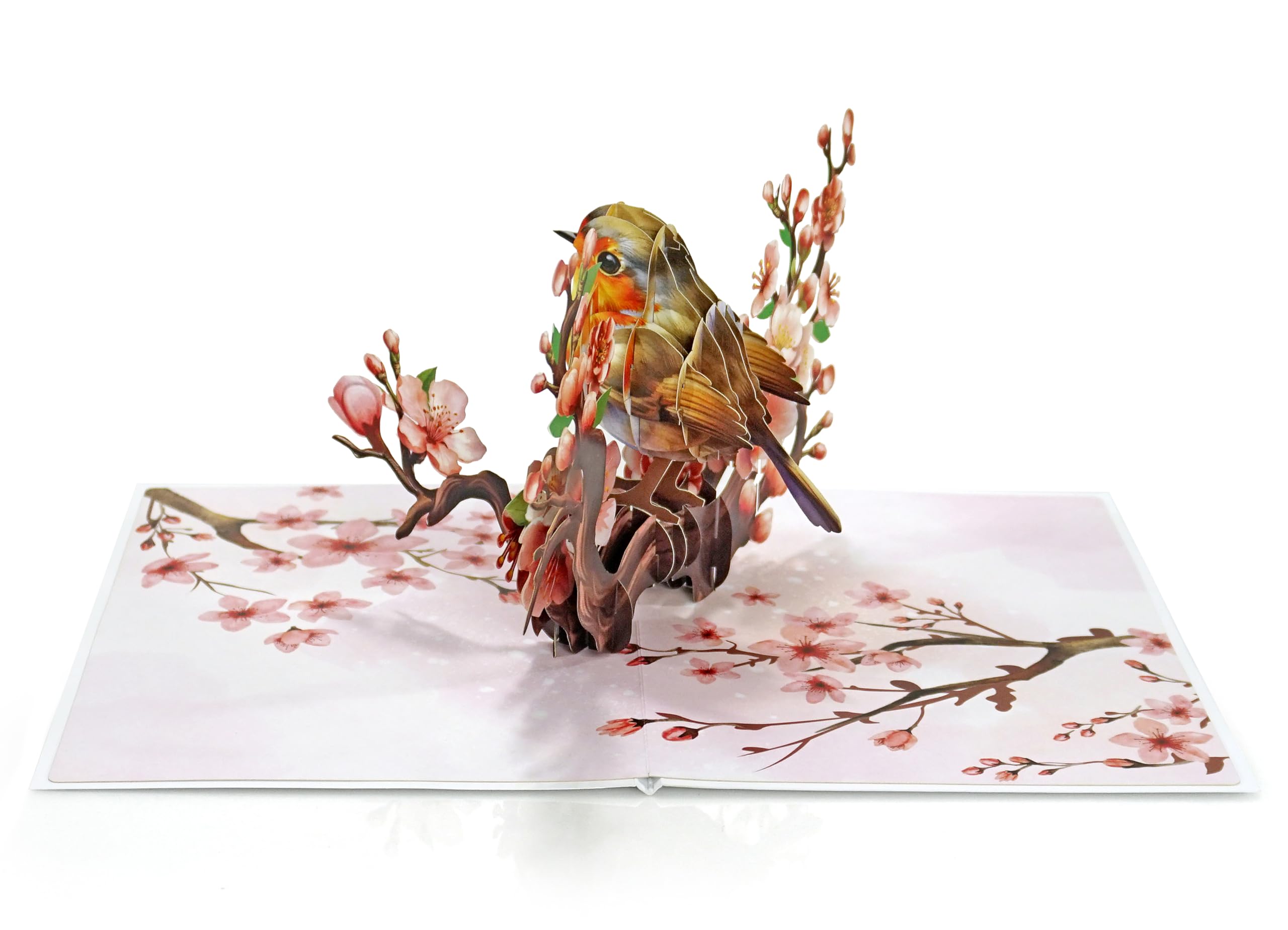 CUTPOPUP Mothers Day Pop Up Card for Mom, 3D Robin Bird Cherry Blossom Greeting Card, Birthday Card for Mom, Grandma, Wife, Floral Card for Women