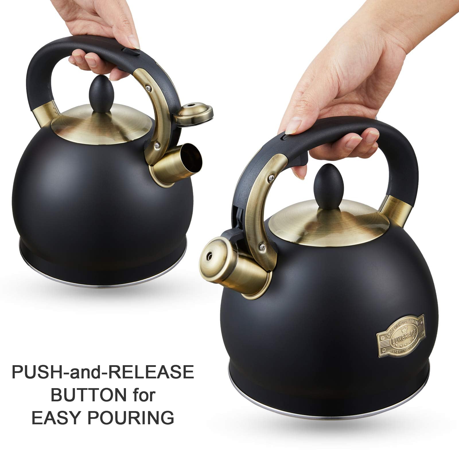 Stove Top Whistling Tea Kettle- Stainless Steel Teakettle Teapot with Ergonomic Handle 2.6 Quart(Black)