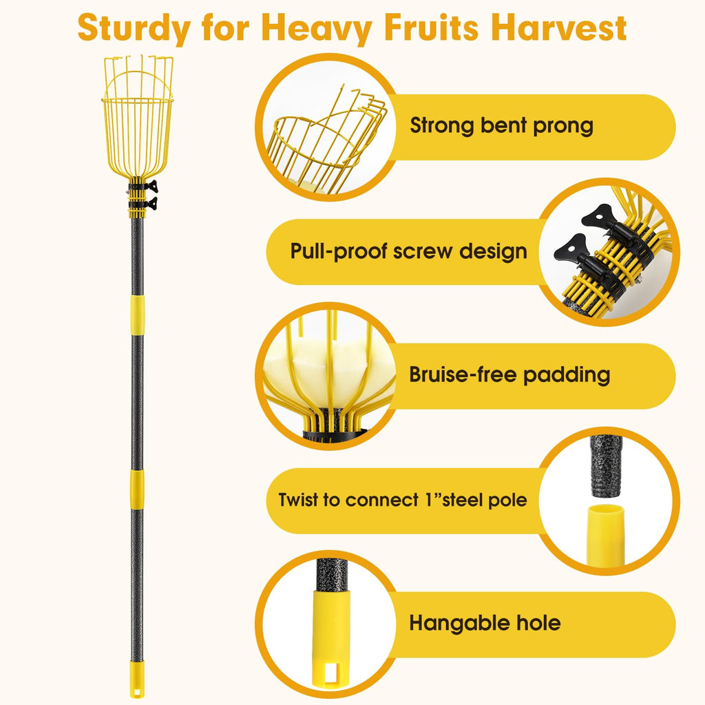 Fruit Catcher for Trees,10FT Fruit Picker Tool, Adjustable Fruits Picker with Pole and Big Basket, Fruit Catcher Equipment Tree Picker for Lemon Apple Mango Orange Avocados Fruit Picking Grabber Tool