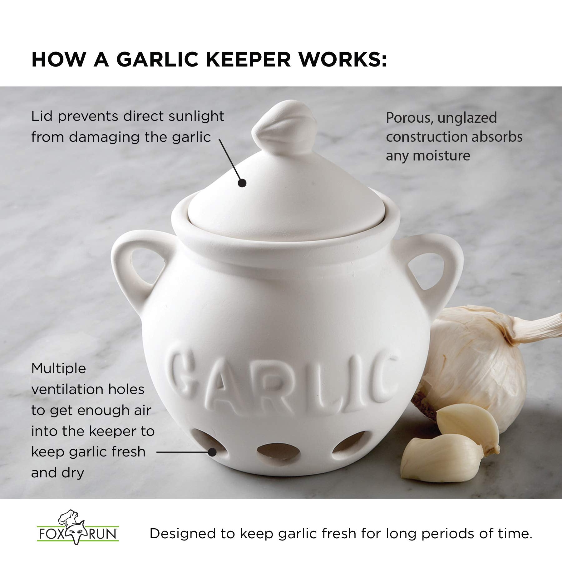 Fox Run 3936 Garlic Keeper, Terra Cotta