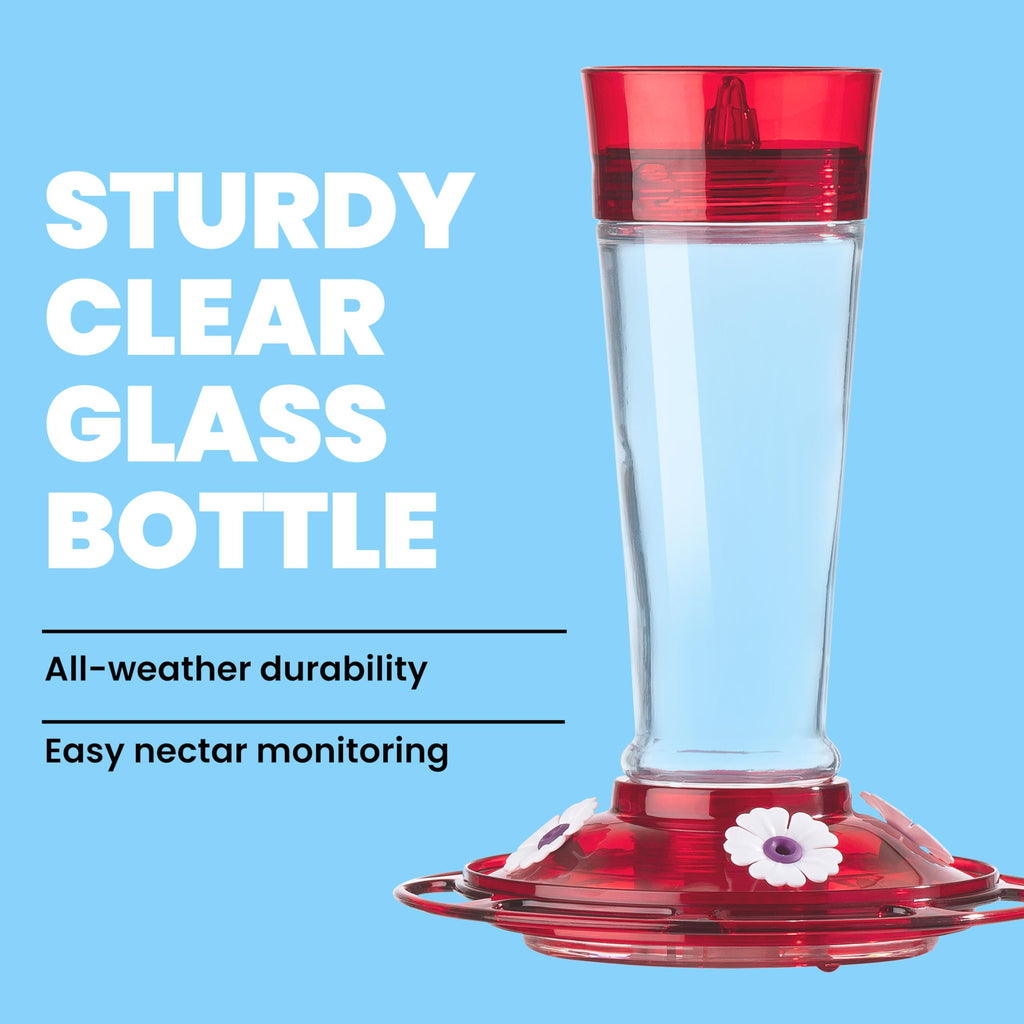 More Birds 35IN-RUB Bird Health Ruby Glass Hummingbird Feeder with Ant Moat - 10 oz