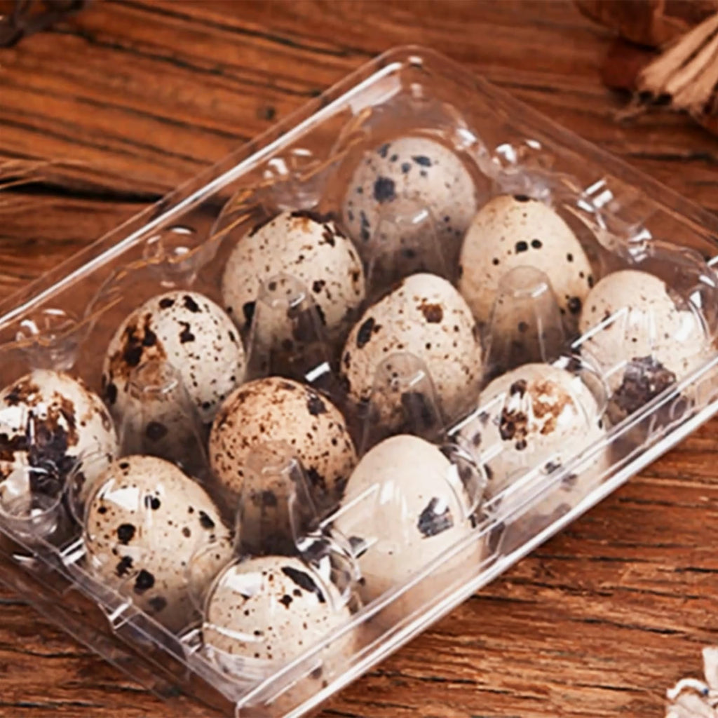 MANCHAP 150-Pack Clear Plastic Quail Egg Cartons, 12-Grid Storage Container with Lid，Clear Quail Eggs Carton Holders
