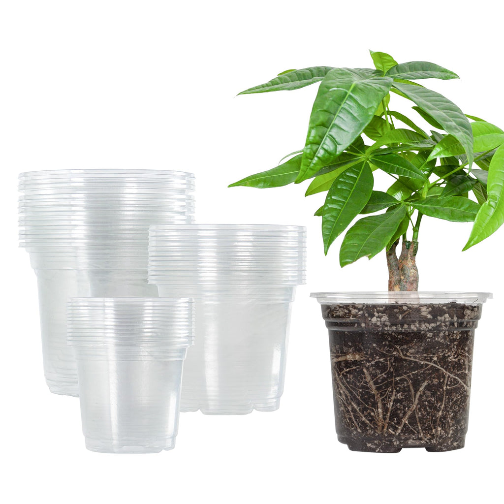 Bonviee 36 Packs 3.5/4/5 Inch Clear Nursery Pots, Transparent Plastic Planter with Drainage Holes, Seed Starting Pot Flower Plant Container -Clear