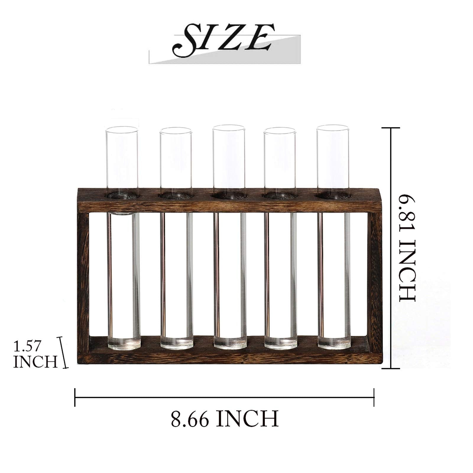 XXXFLOWER Plant Propagation Station Terrarium with Test Tube Desktop Hydroponics Rack, 5 Planter Glass Vase with Wooden Holder for Home Indoor Decoration