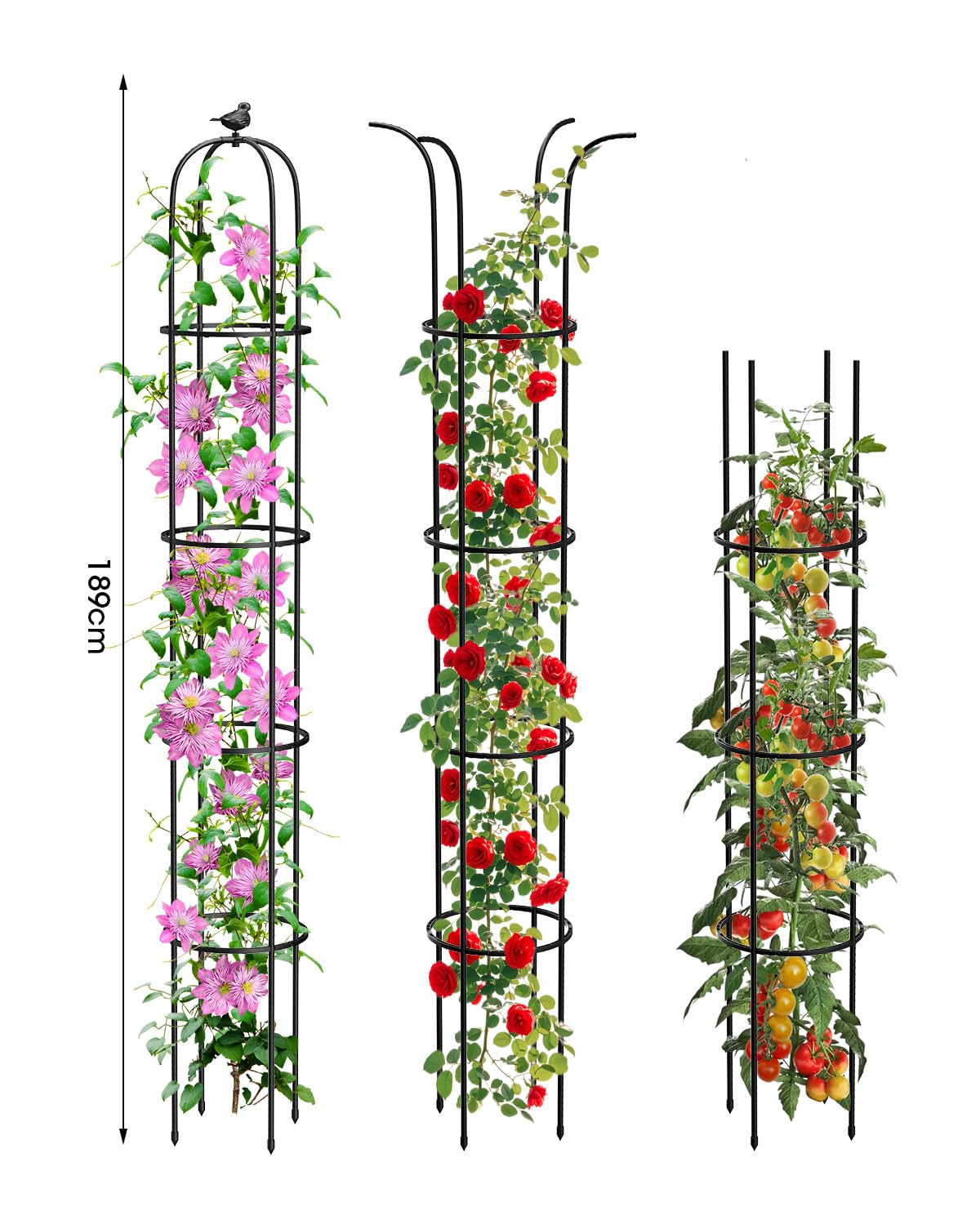 MYMULIKE 6.2ft Garden Trellis for Climbing Plants, Indoor Plant Trellis, Plant Support for Vegetables and Climbing Plants, Tomato Cage for Pots and Raised Garden Bed (1 Pack)