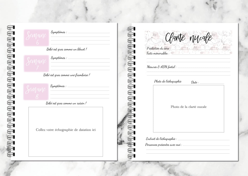 Journal De Grossesse (en français)