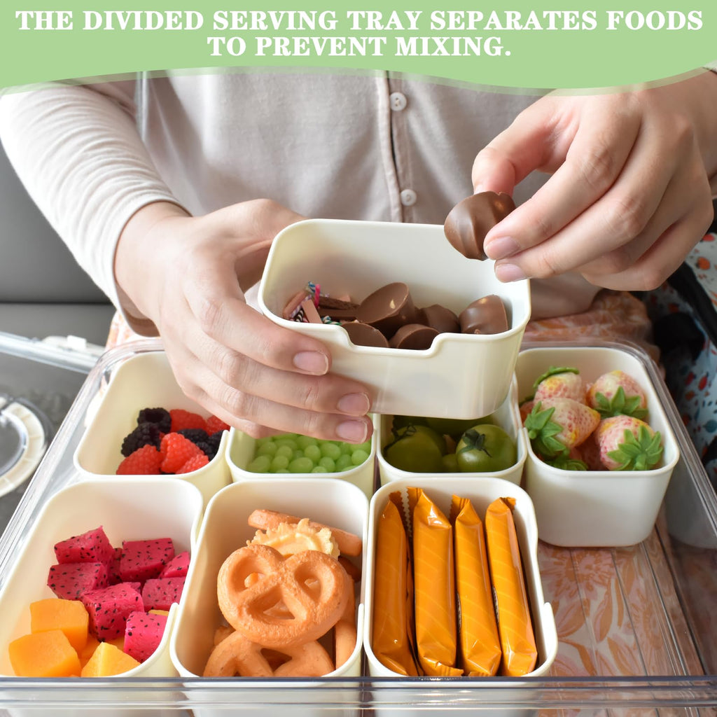 Artcome Sealed Divided Serving Tray with Handle, 8 Compartments, & Carry Bag - Ideal for Organizing and Carrying Snacks and Appetizers - Perfect for Outdoor Dining, Picnics, BBQs, Gatherings & Leisure