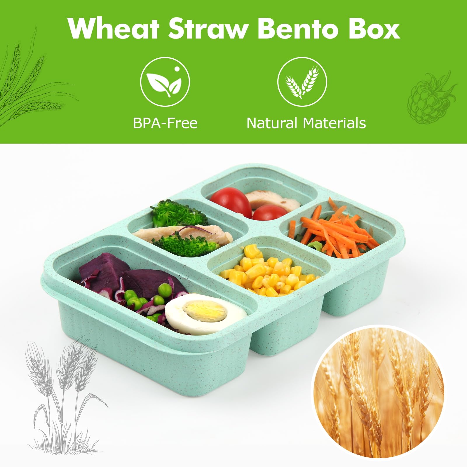 4 Pack Bento Lunch Box - BPA-Free Reusable Bento Box Kids Adult - 5-Compartment Meal Prep Container with Lids - Lunch Box for Kids, Toddler, Adults - Suitable for School, Company, and Travel
