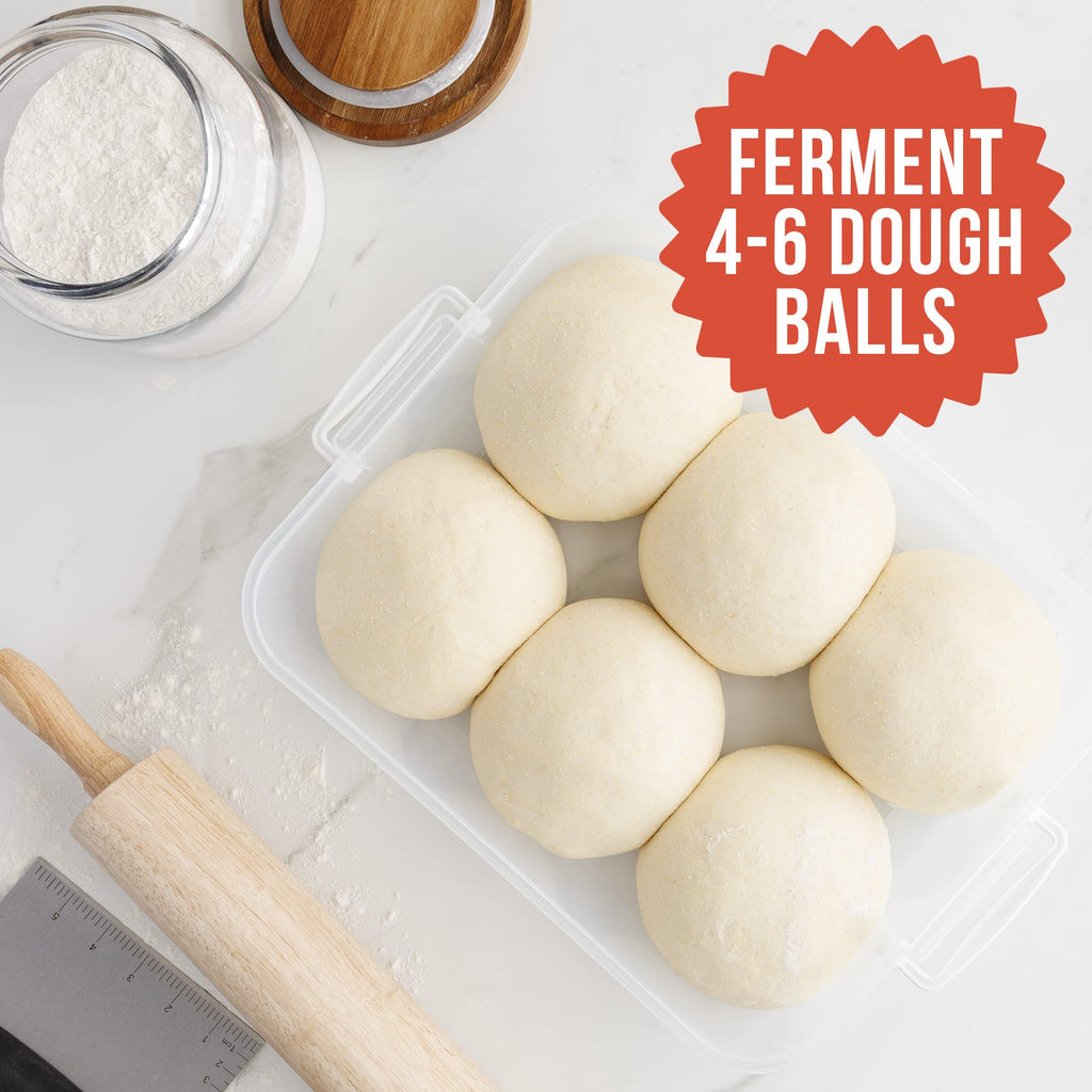 Chef Pomodoro Pizza Dough Proofing Box, Pizza Dough Container, Household Pizza Dough Tray With Convenient Carry Handle (Grey)