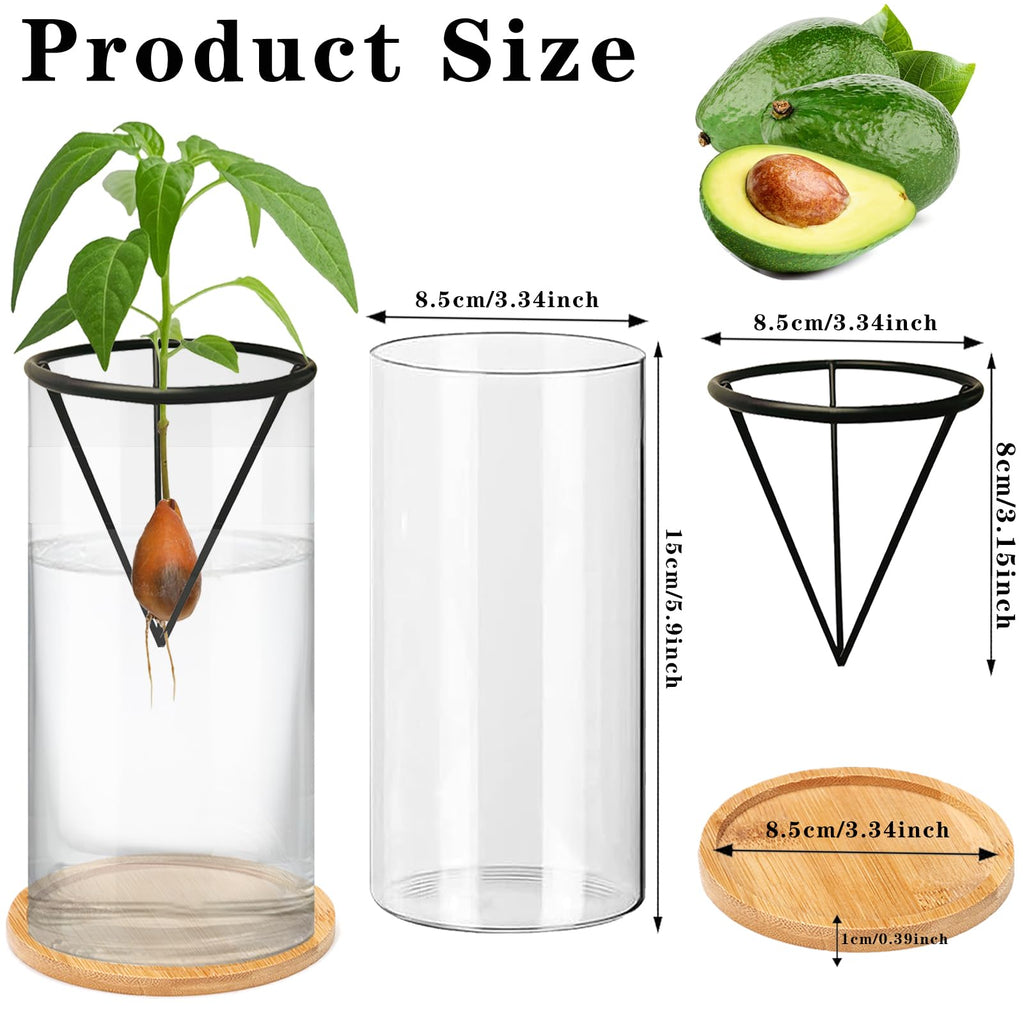 QXBXYHM Avocado Tree Growing Kit, Avocado Growing Vase with Plant Pot, Wooden Base, Metal Stand, Black-transparent, Contemporary, Minimalist, Indoor, 3 Inch, 1 Count