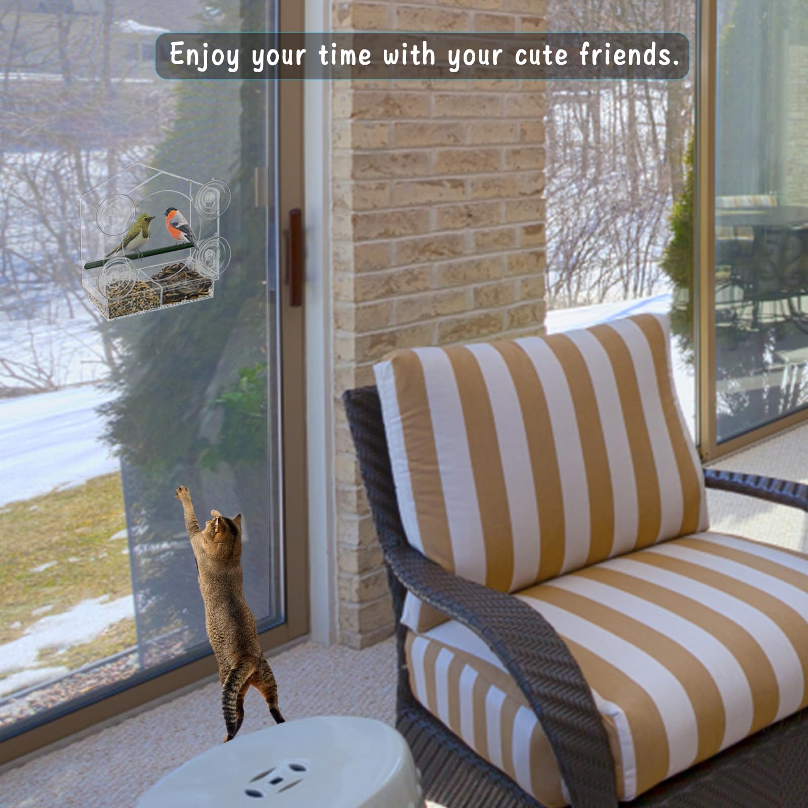Suekiria Acrylic Window Bird Feeder with 4 Strong Suction Cups, Clear Bird House, Removable Food Tray with Drain Holes, Easy Install and Clean for Backyard and Outdoor