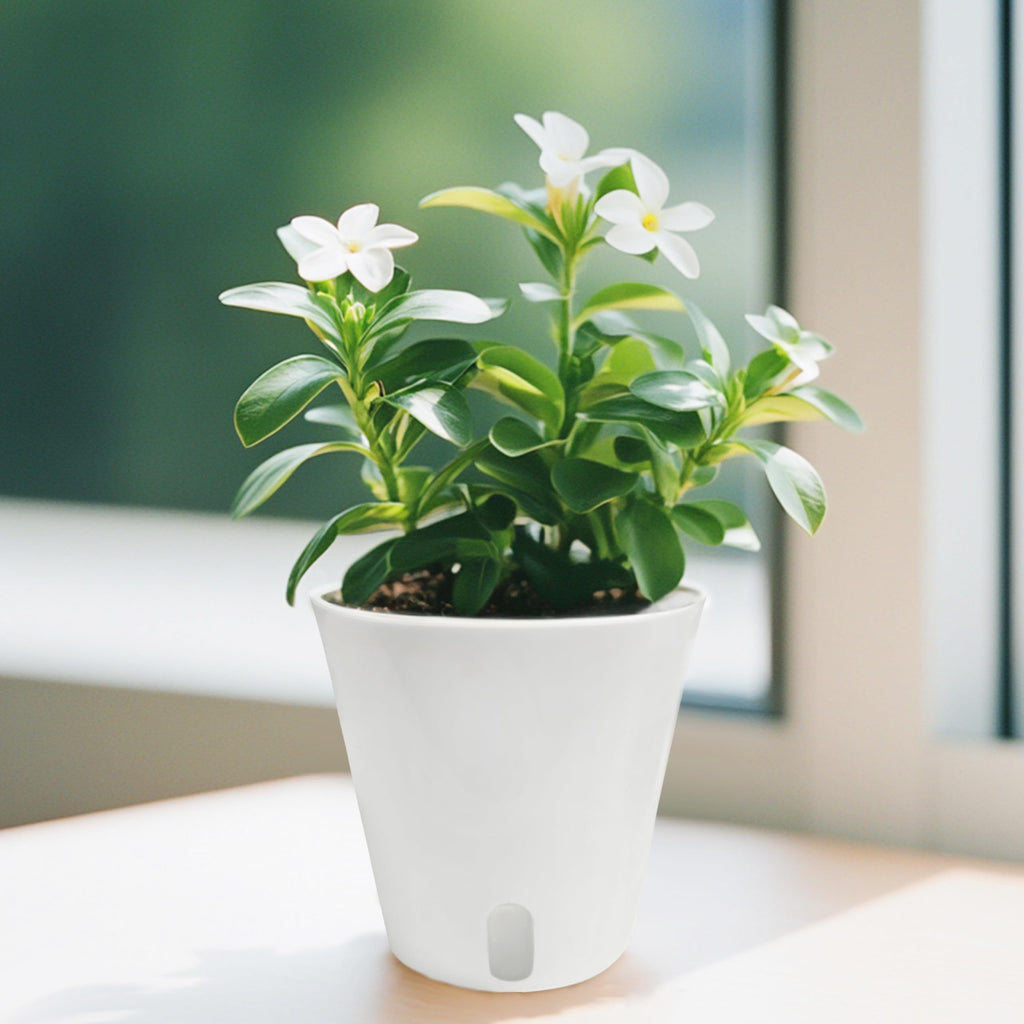 10 Pack 3 inch Self Watering Pots for Indoor Plants, Small Self Watering Plant Pots with Water Level Indicator and Multiple Vents, Self Watering Planters for Indoor Plants, Orchid, Succulent, Herbs