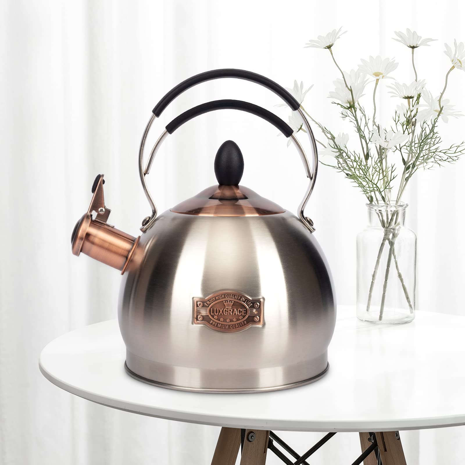 Whistling Tea Kettle Stainless Steel Teapot, Teakettle for Stovetop Induction Stove Top, Fast Boiling Heat Water Tea Pot 2.6 Quart