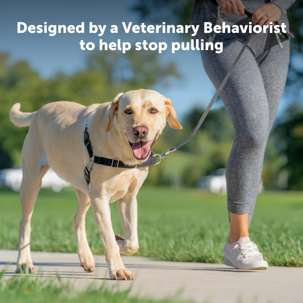 PetSafe Easy Walk Harness, No Pull Harness for Dogs, Adjustable Harness with Included Matching Lead, Black, Large