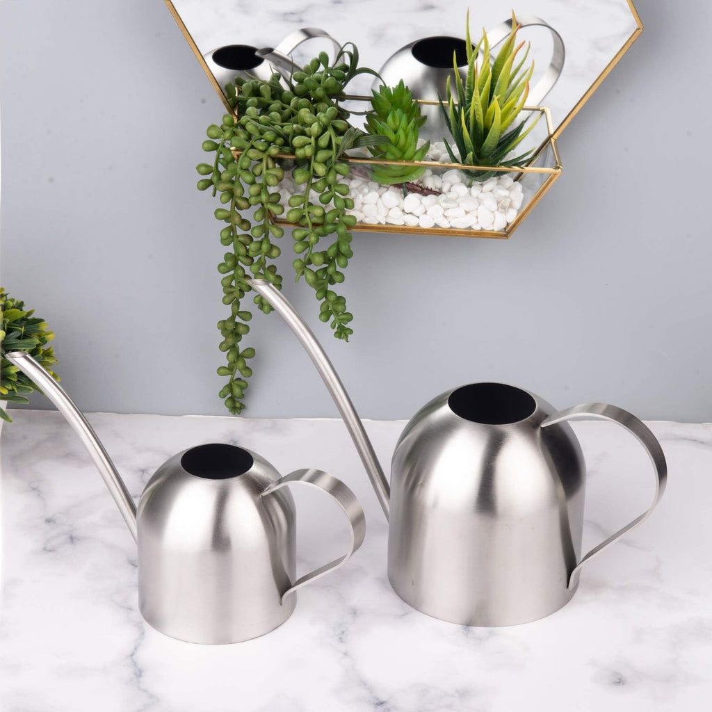 IMEEA Mini Watering Can Small Indoor Houseplant Watering Can for Orchid Bonsai Succulent Desk Office Stainless Steel (15oz/450ml)