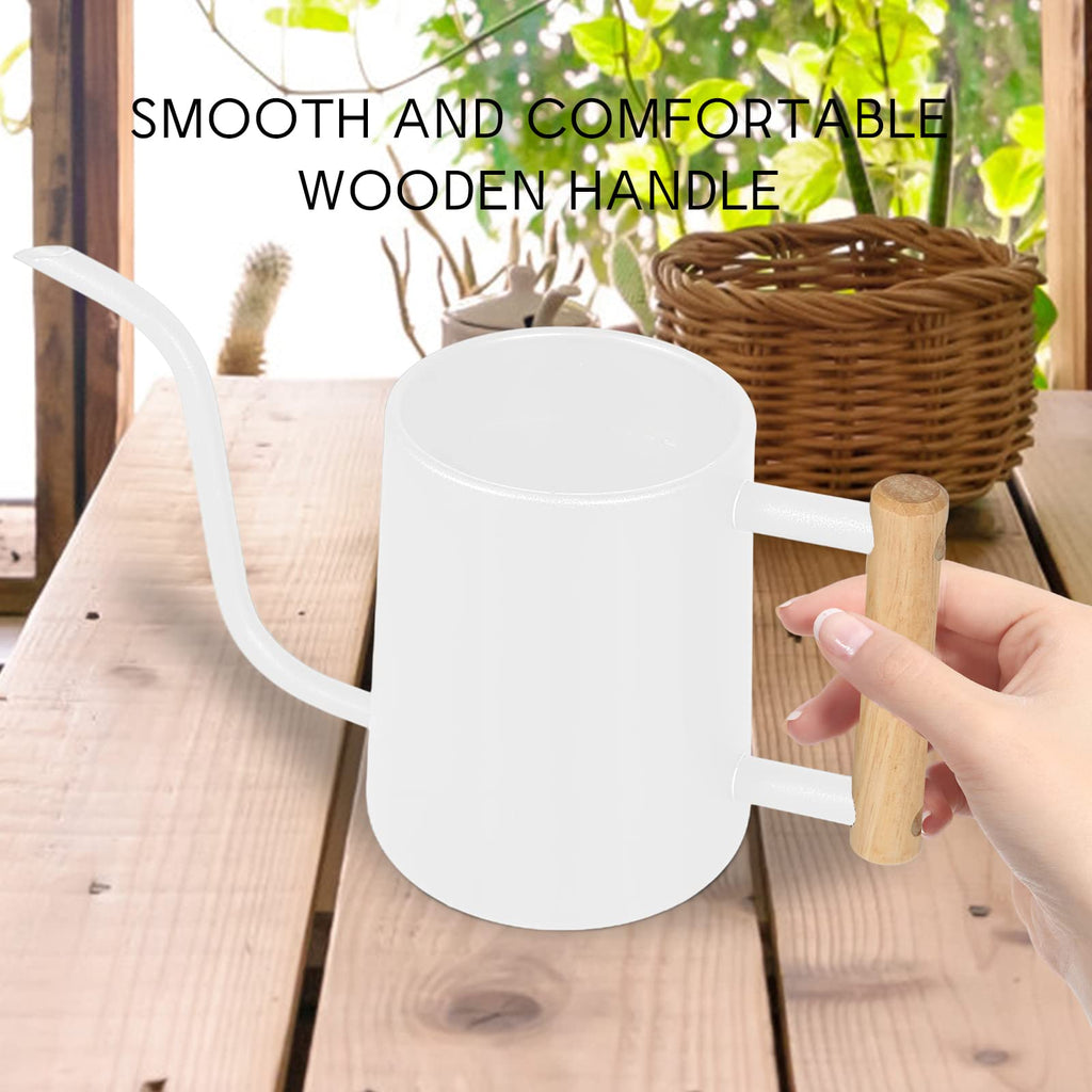 Watering Can for Indoor Plants, 35 oz/1000 ml Metal Stainless Steel Pot with Long Spout for House Plants Bonsai Outdoor Garden Flower Decorative (White)