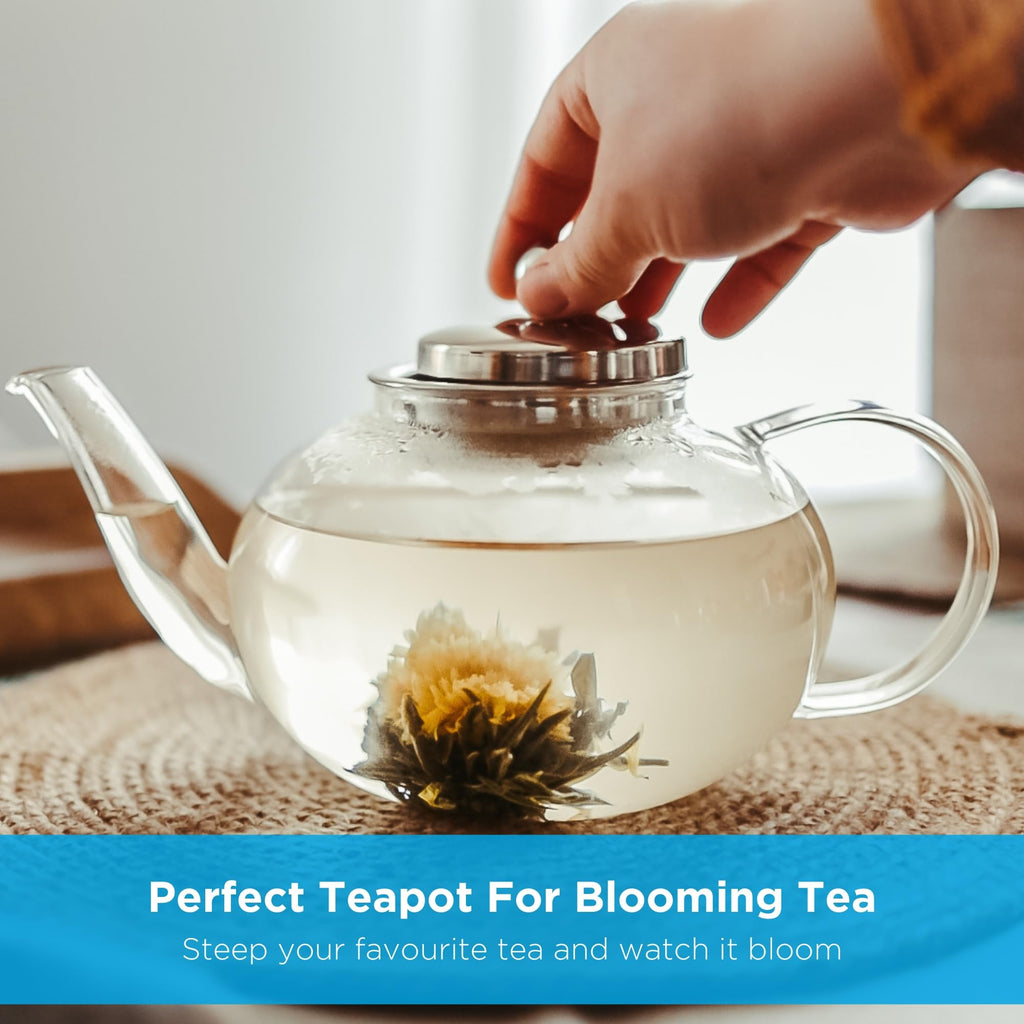GROSCHE - Joliette Borosilicate Glass Teapot with Stainless Steel Infuser - 4 Cup Glass Teapot with Removable Strainer for Loose Leaf & Herbal Tea, Dishwasher Safe, Canadian Brand! 1250ml 42 fl. oz