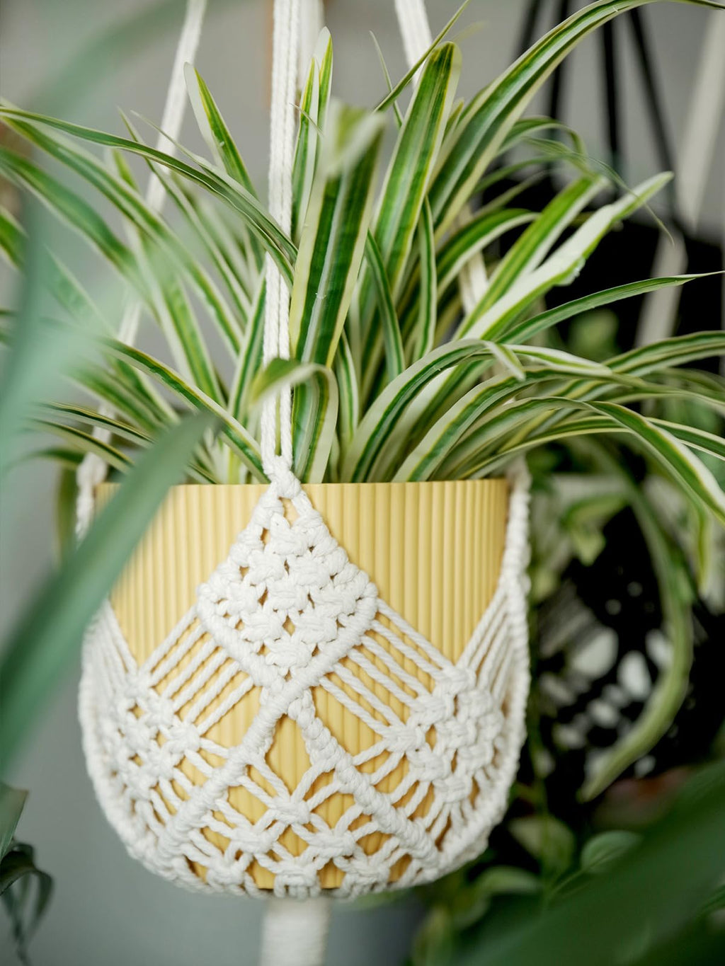Macrame Plant Hangers Indoor Macrame for up to 8 inch Pot Crochet Boho Plant Hanger Holder for Indoor Outdoor with 2 S Shaped Stainless Steel Hooks (White)