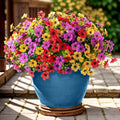 Artificial Flowers for Outdoor,Silk Flowers No Fade Fake Plastic Flowers Faux Plants for Outdoors Outside Front Porch Hanging Planter Window Box Garden Home Decoration,13 Pack(Multi-Colour2)