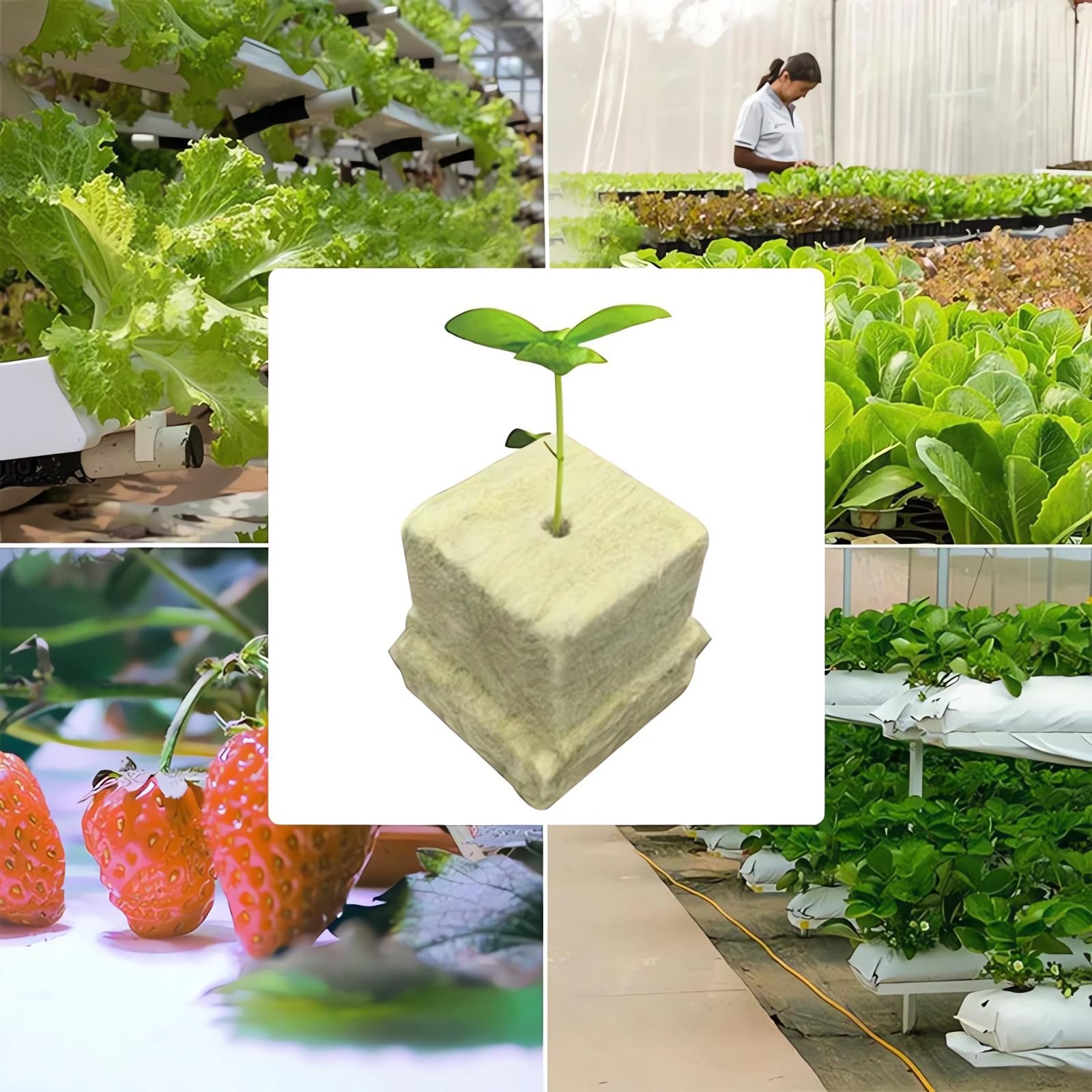 Naturezhen 56 Pcs Rockwool Grow Cubes (1.57"), Hydroponic Starter Plugs for Seedlings, Cloning & Soilless Cultivation, Premium Stonewool Growing Medium for Indoor/Outdoor Plant Systems