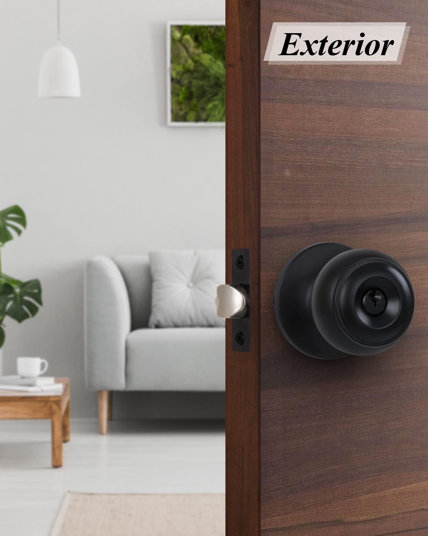 Black Door Knobs with Lock and Keys, Interior/Exterior Door Knob for Bedroom or Bathroom, Entry Door Lock for Front Door by Lanwandeng