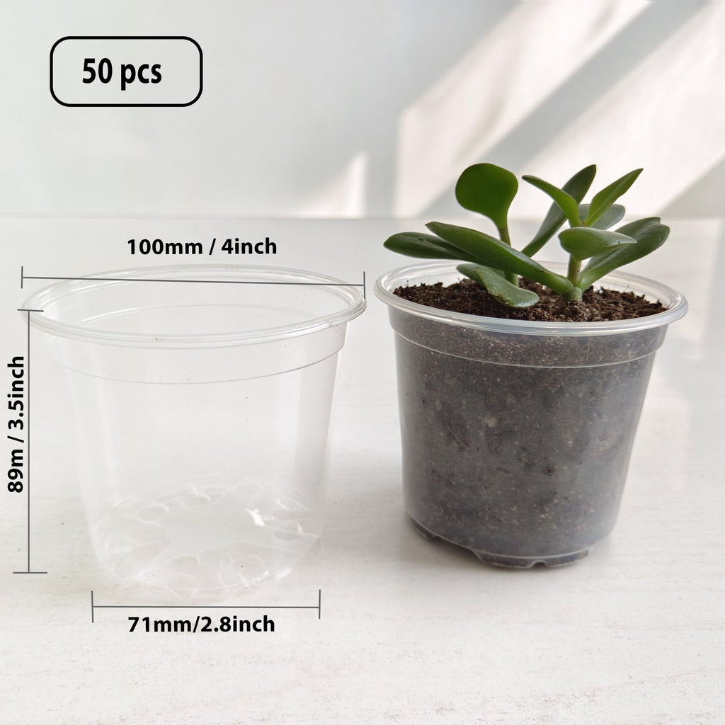 Clear Nursery Pots 50PCS 4" Plastic Plant Pot Transparent Flower Pots Seed Pot Starter Pot for Seedling Nursery Supplies Grow Pot Planter Flower Pot Container for Seedling Cultivation (Clear)