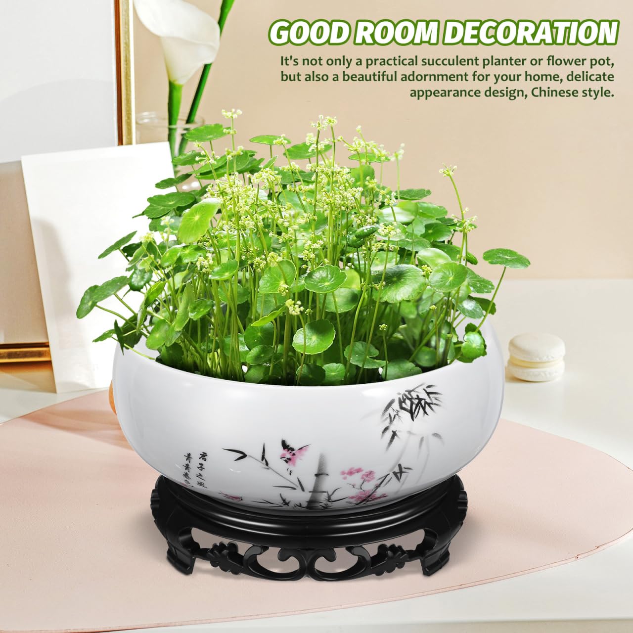 YARNOW Hydroponic Ceramic Planter Pot with Base 6.88 Inch Porcelain Flower Pot for Indoor Succulent Plants Orchid Bonsai Home and Office Garden Decor