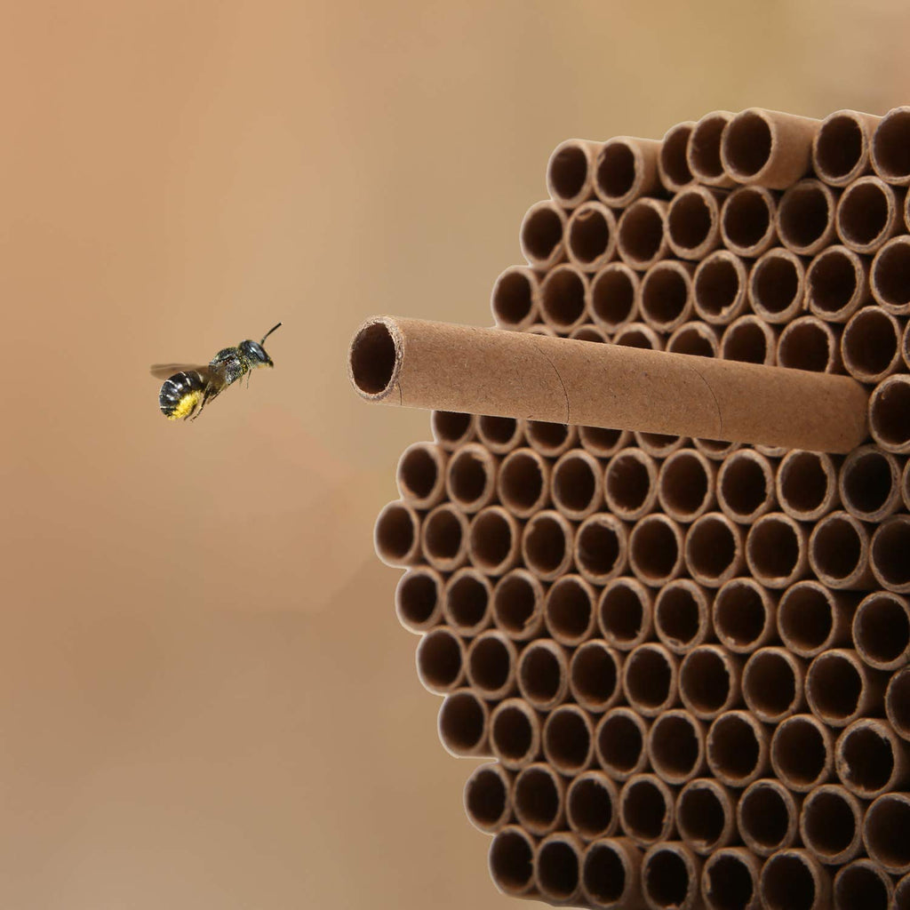 120 Pieces Mason Bee Tubes 6 Inches Outdoor Bee Cardboard Tubes Beekeeper Replacement Nesting Refill Tubes and Paper Inserts for Mason Bee Houses