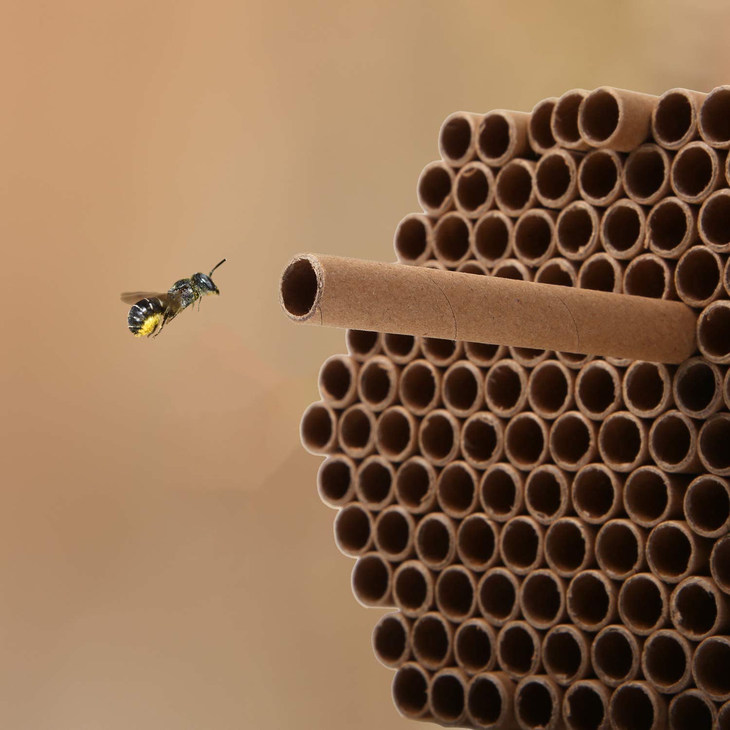 120 Pieces Mason Bee Tubes 6 Inches Outdoor Bee Cardboard Tubes Beekeeper Replacement Nesting Refill Tubes and Paper Inserts for Mason Bee Houses