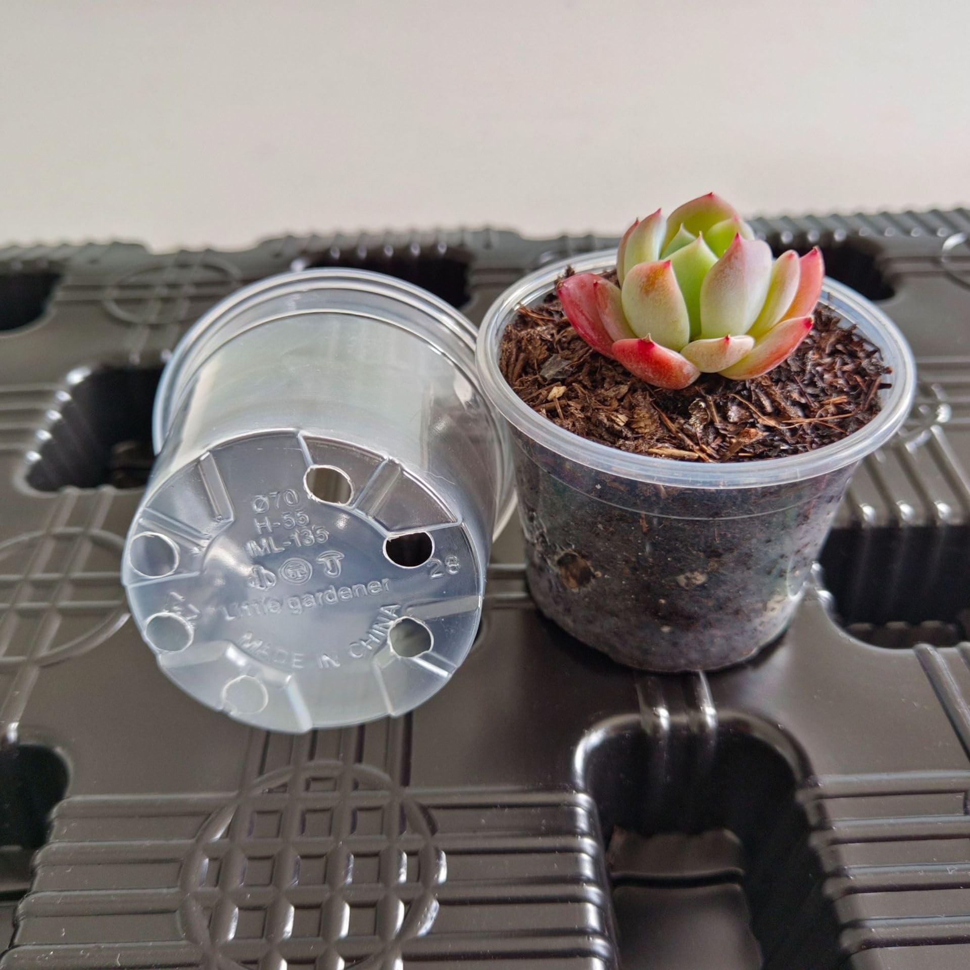Clear Nursery Pots 50PCS 4" Plastic Plant Pot Transparent Flower Pots Seed Pot Starter Pot for Seedling Nursery Supplies Grow Pot Planter Flower Pot Container for Seedling Cultivation (Clear)