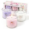 CHILLFLAME Scented Candles, Scented Candle Gift Set for Stress Relief, 3 Votive Candle for Men, Birthday Gifts for Women, Candles for Women (Pink + Purple + White, 7 oz)