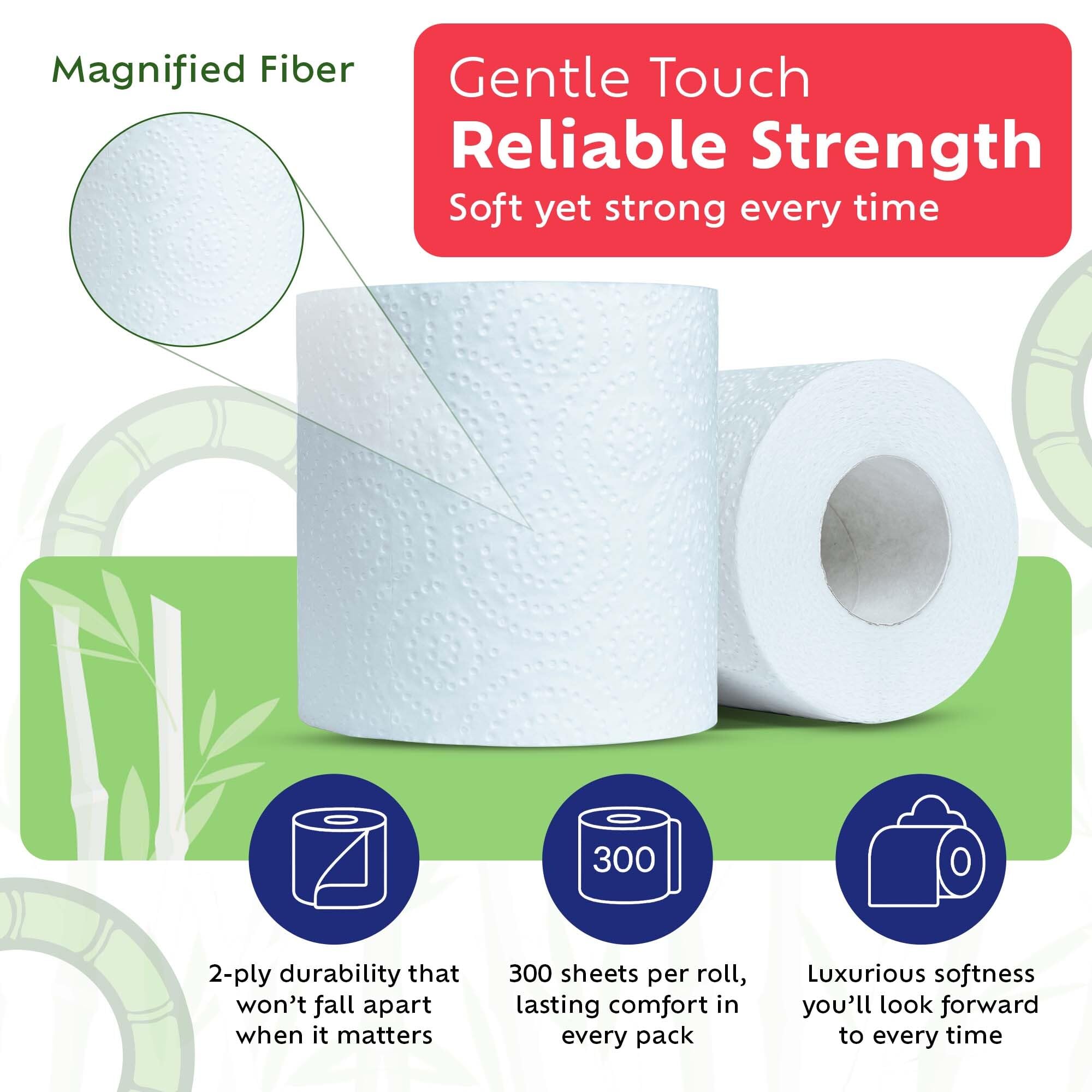 Bamboochi Bamboo Toilet Paper, Septic Safe Toilet Paper 2 Ply 12 Rolls 300 Sheets Per Roll, Soft Unscented Bath Tissue, RV Safe, Eco-Friendly, Non Chlorine, PFAS Free, Proudly Made in Canada